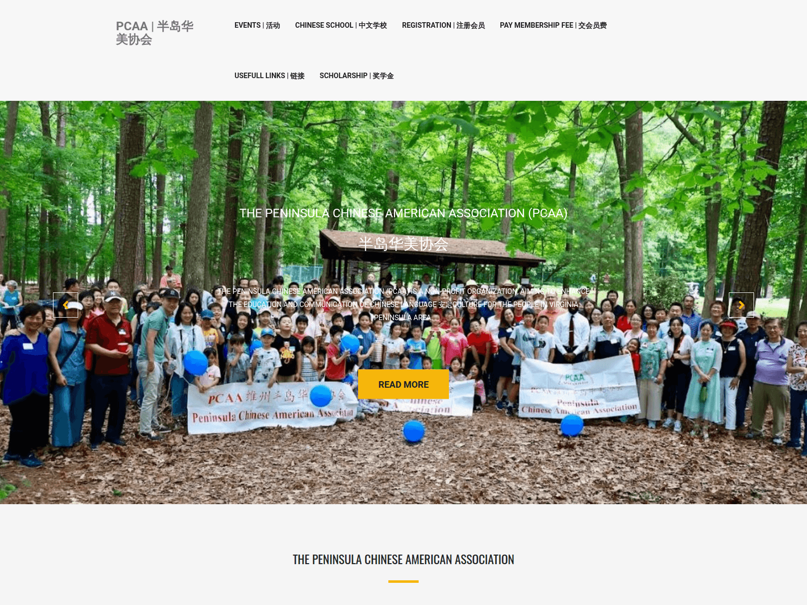 Screenshot of pcaa-va.org