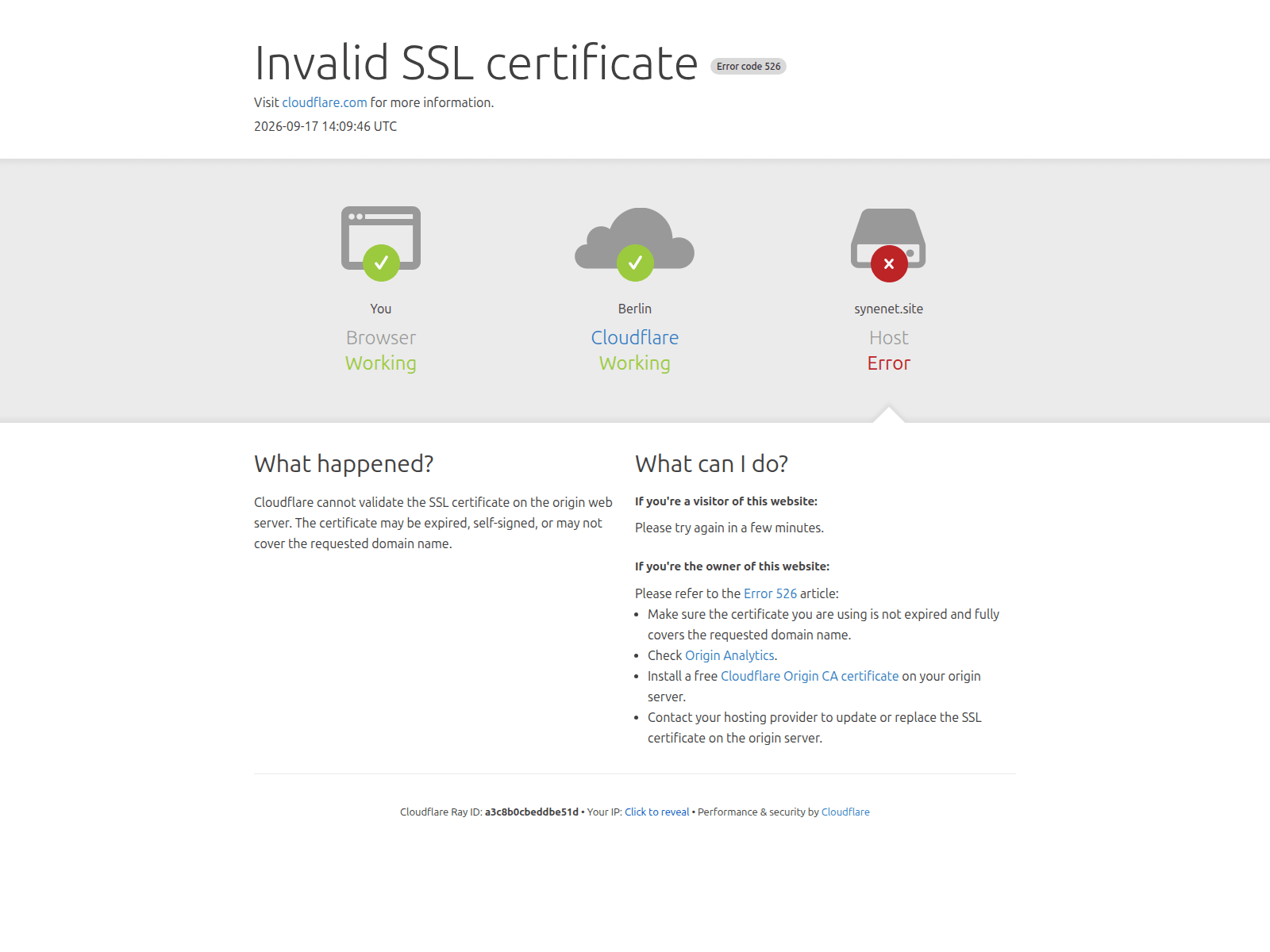 Screenshot of synenet.site