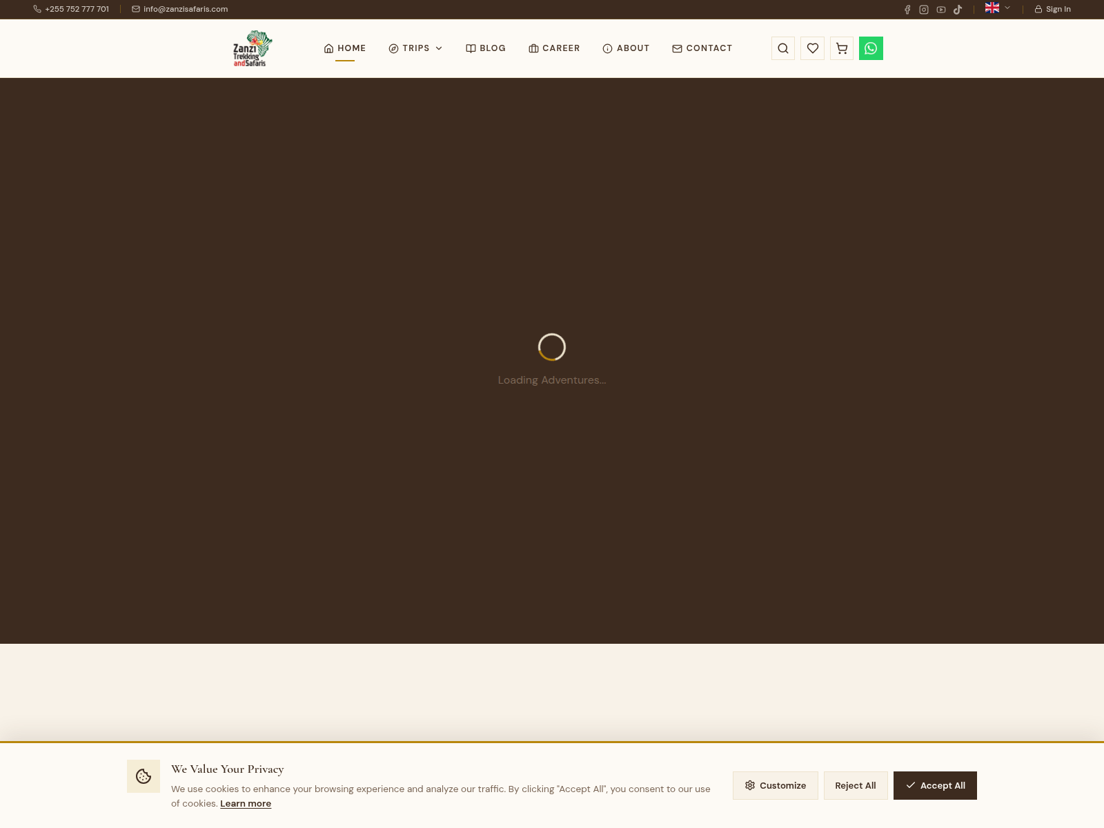 Screenshot of thevillagebell.com