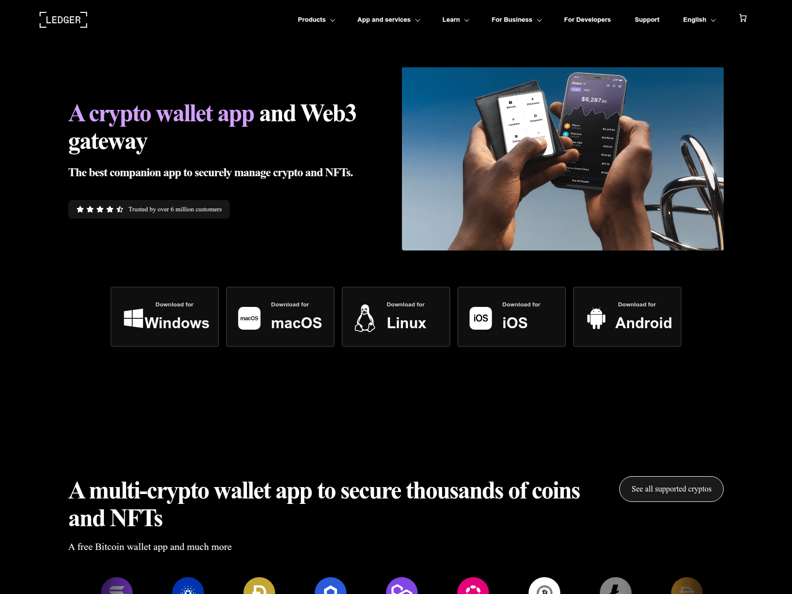 Screenshot of ledger-wallet.us