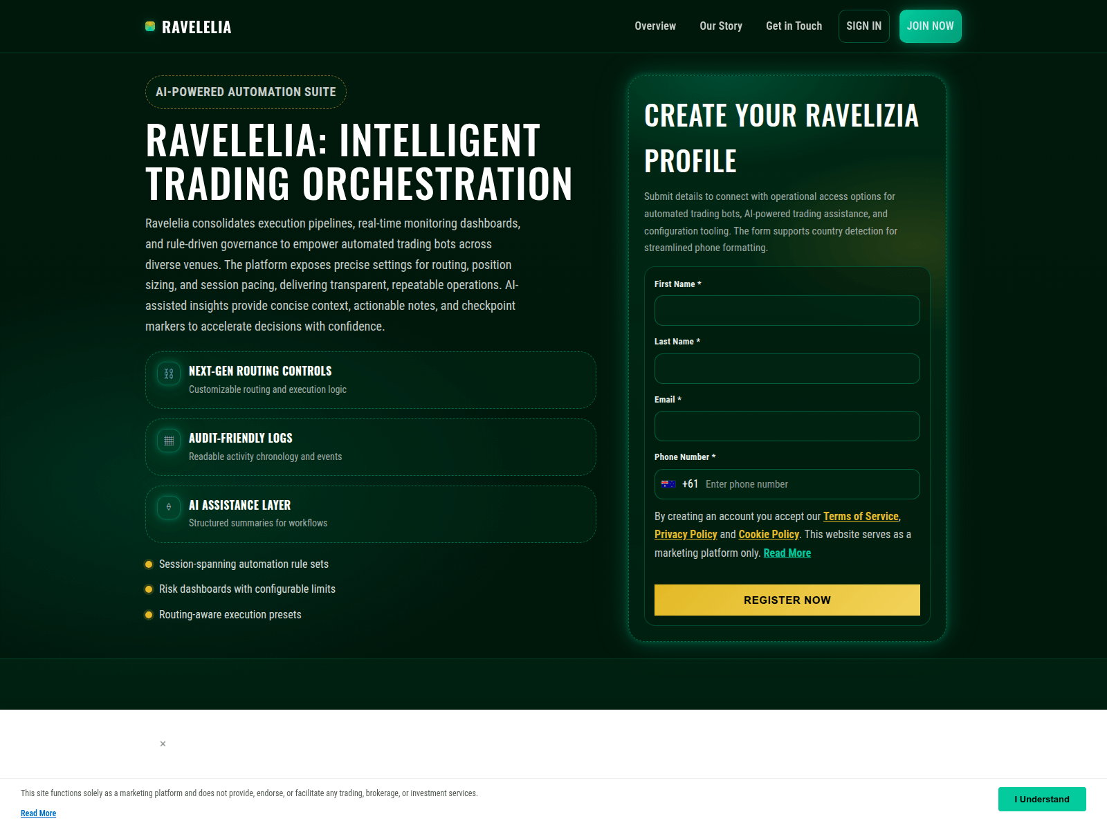 Screenshot of ravelizia.click