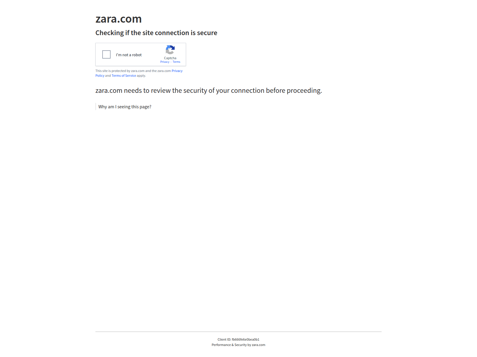 Screenshot of zara.workforce-career-network.com