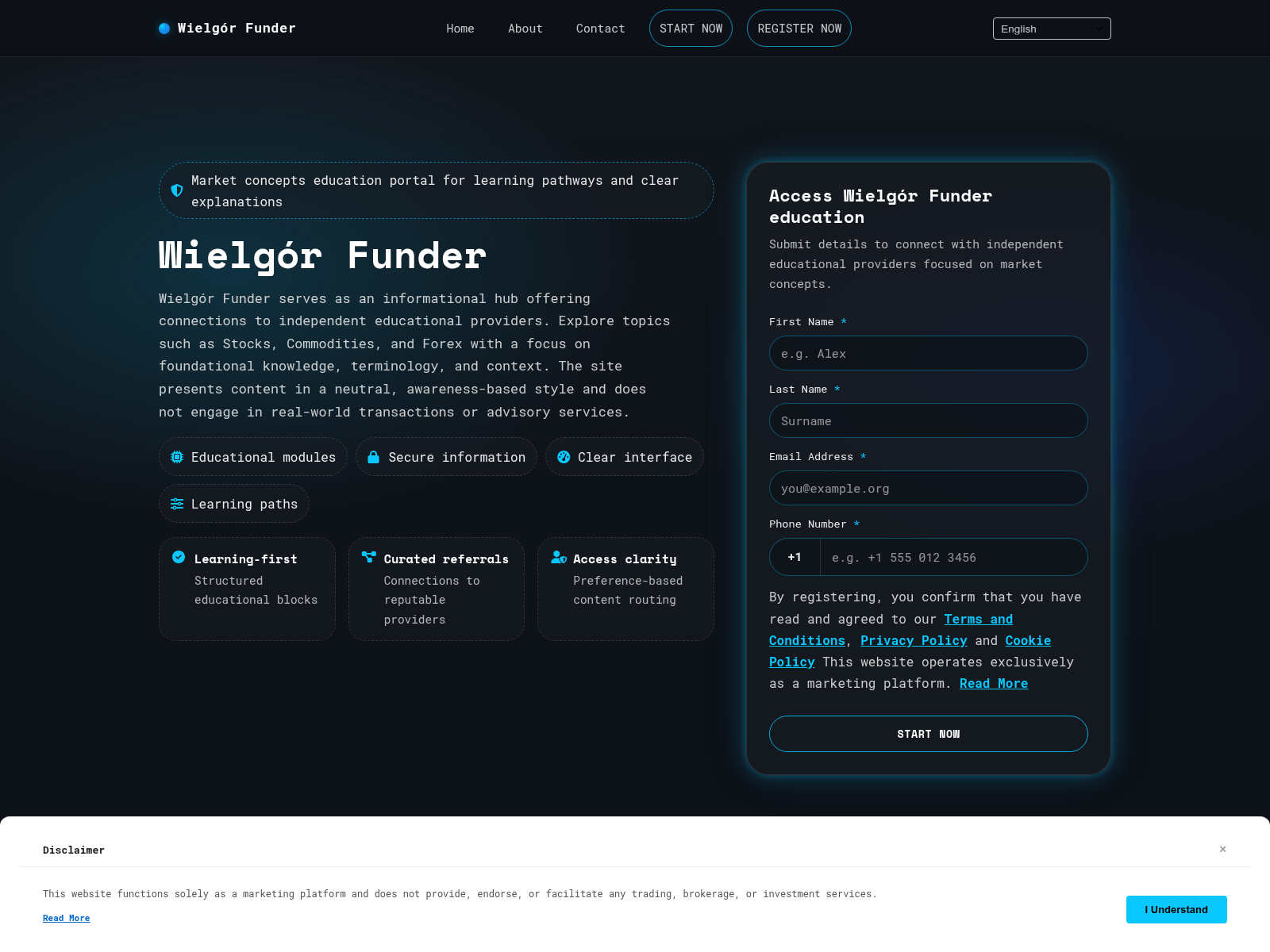 Screenshot of wielgor-funder-engine.com