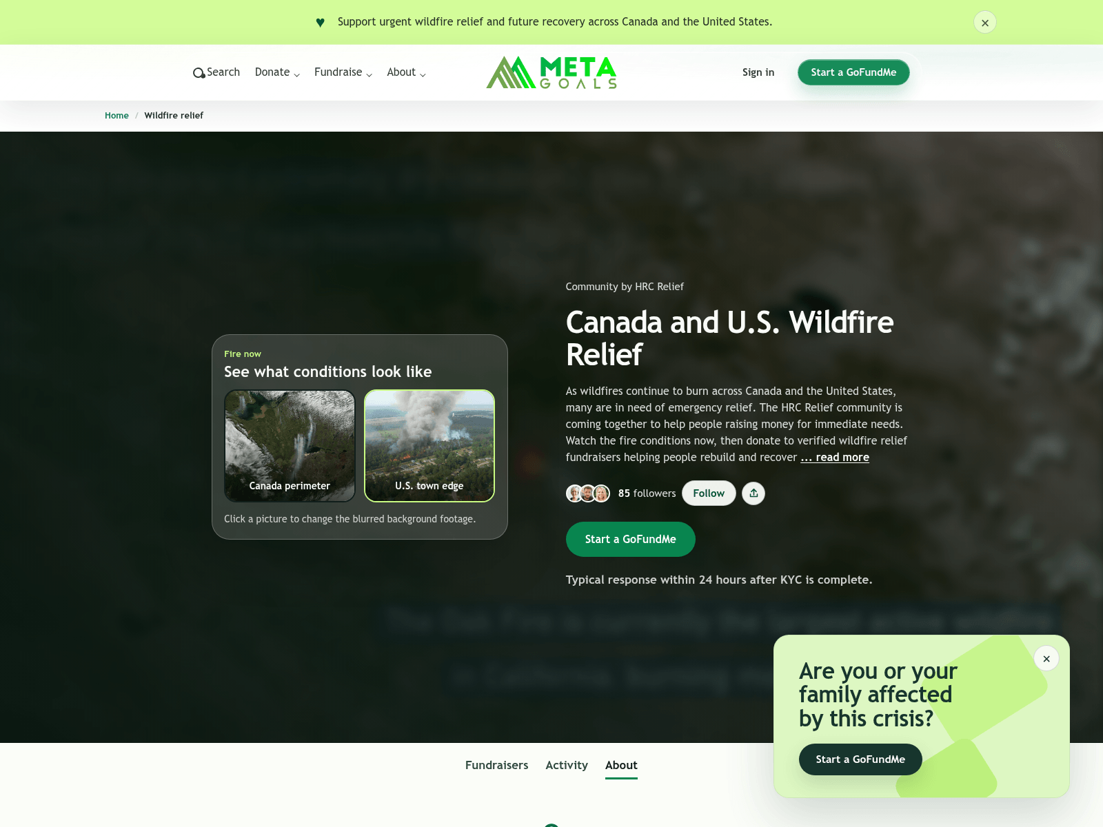 Screenshot of metagoals.sbs
