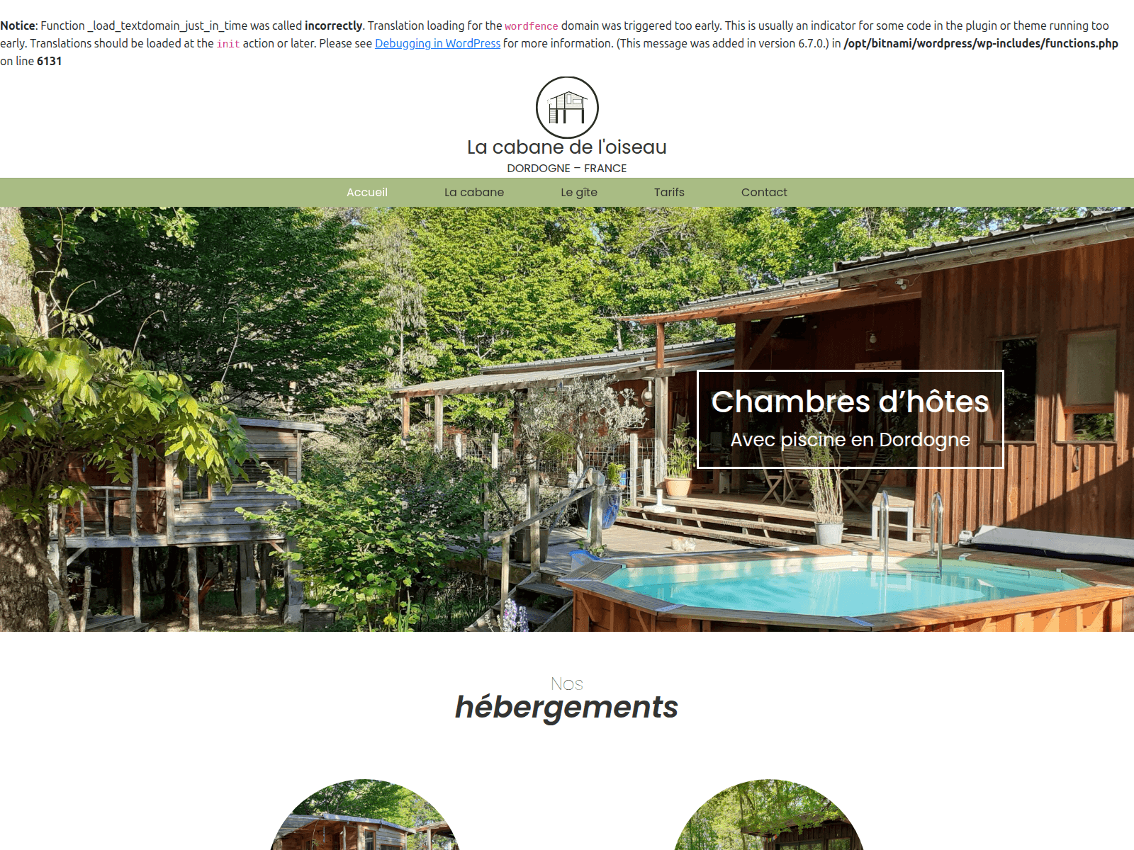 Screenshot of cabanedeloiseau.com