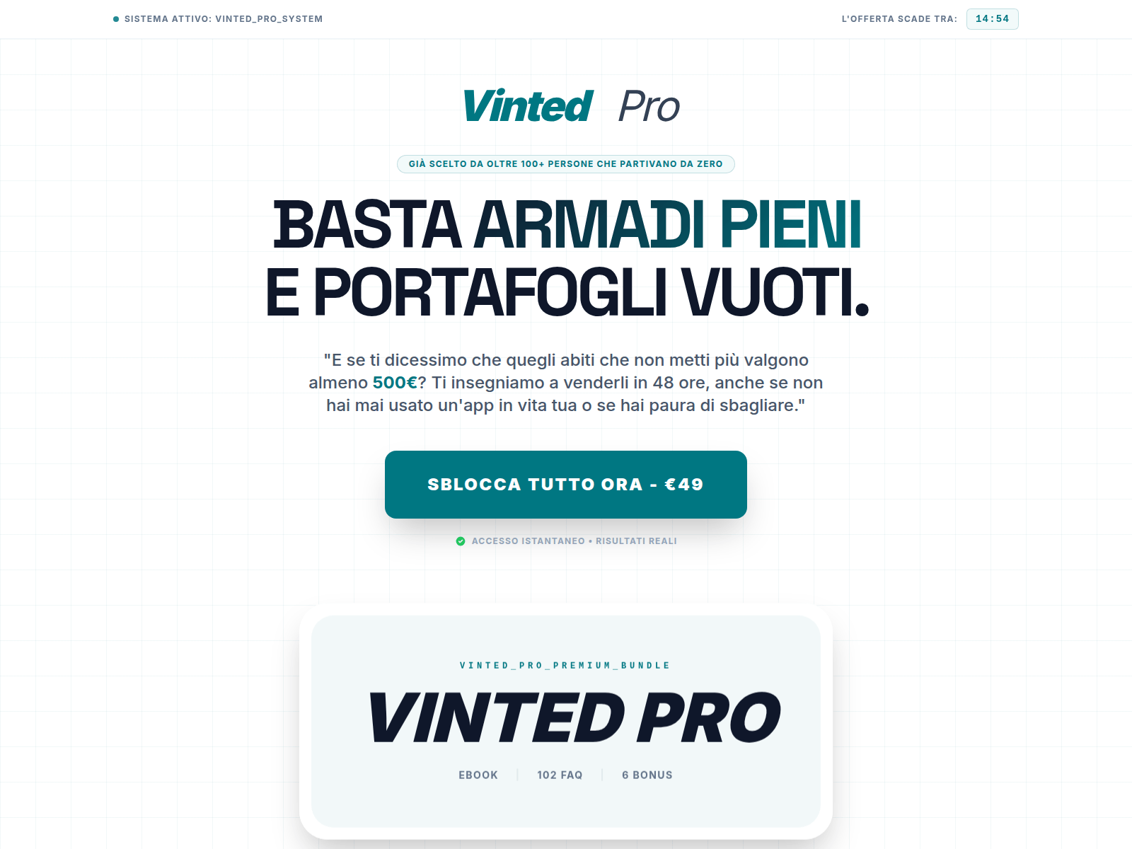 Screenshot of landing.vintedpro.biz