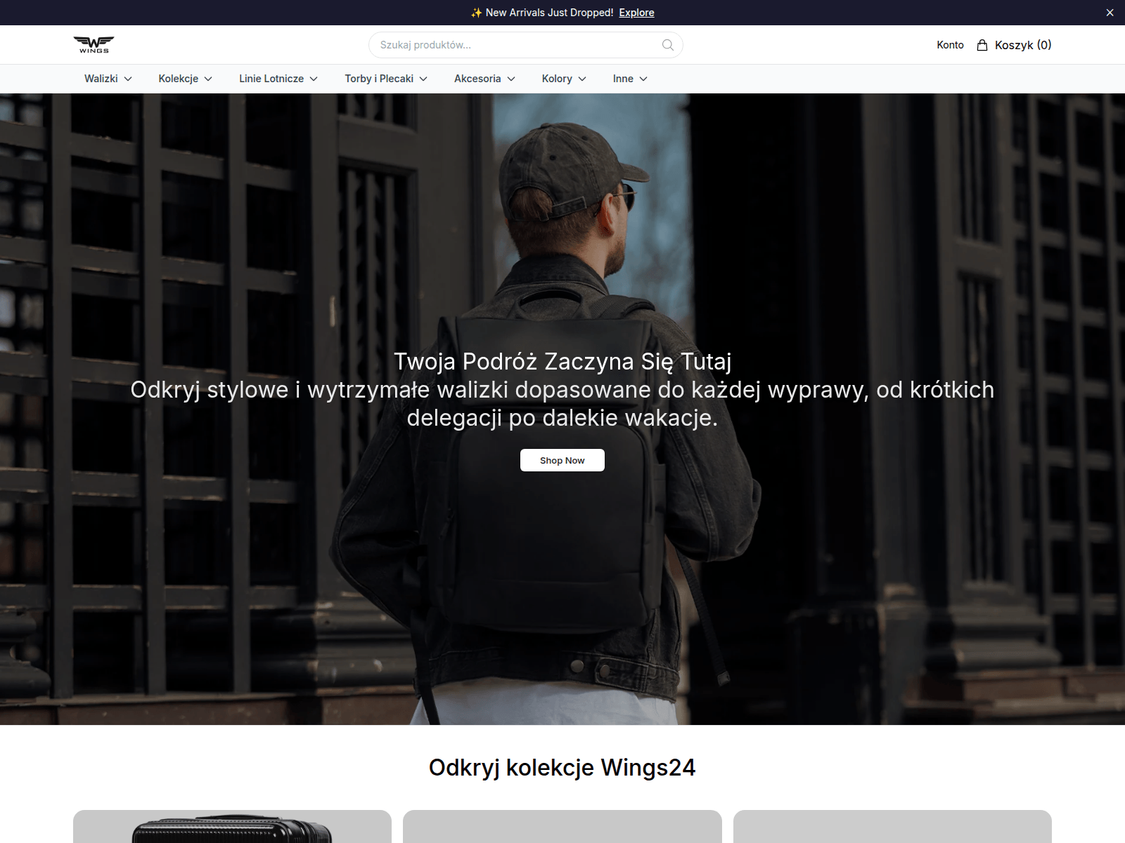 Screenshot of stylewings24.shop