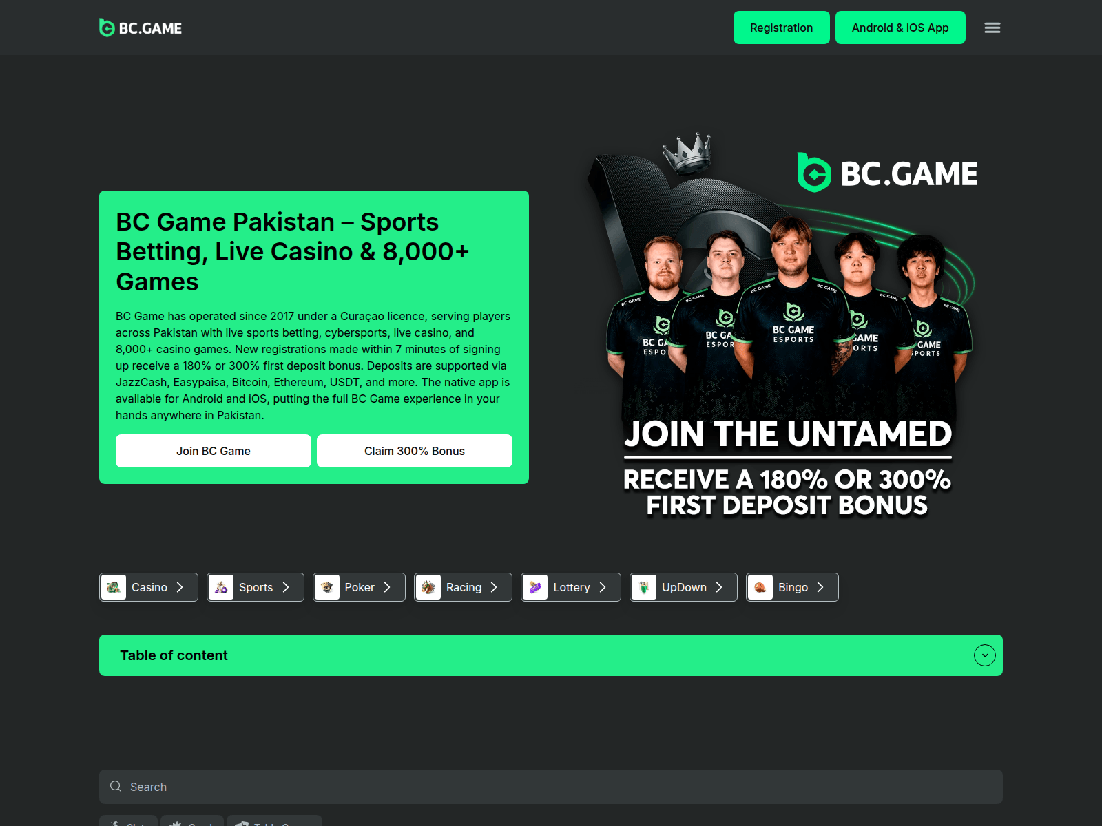 Screenshot of bcgames.net.pk