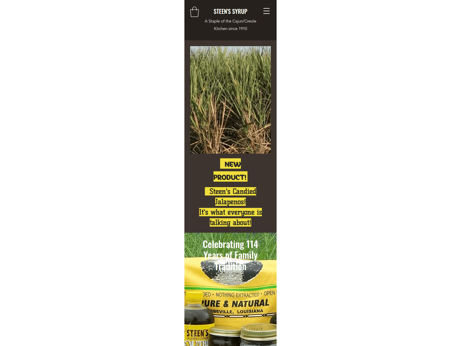 Screenshot of steenssyrup.com