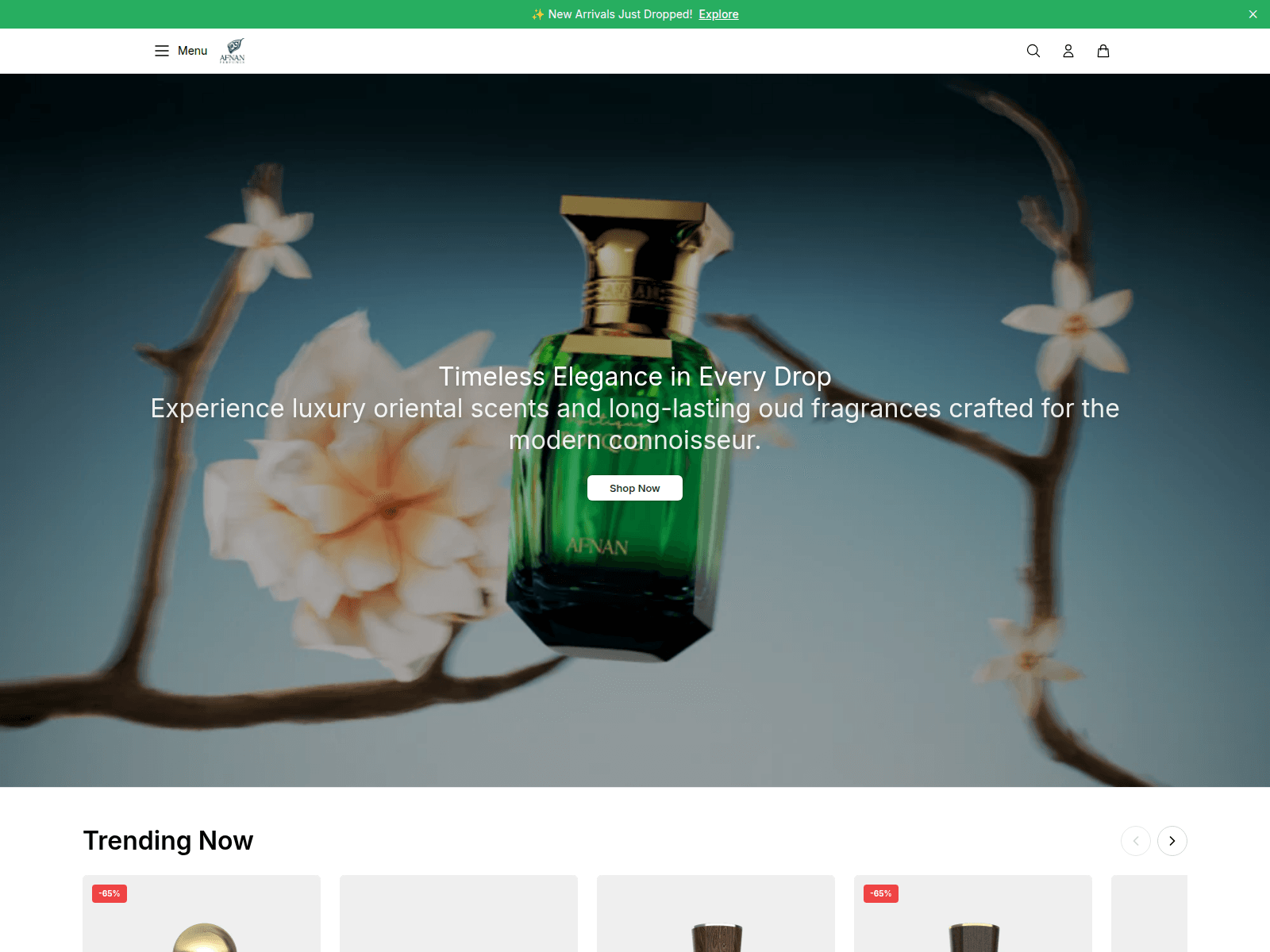Screenshot of afnstudio.shop