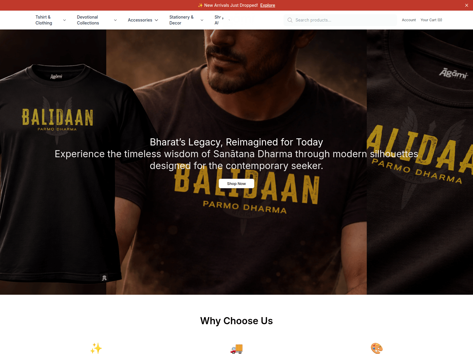 Screenshot of agamistoreswear.shop