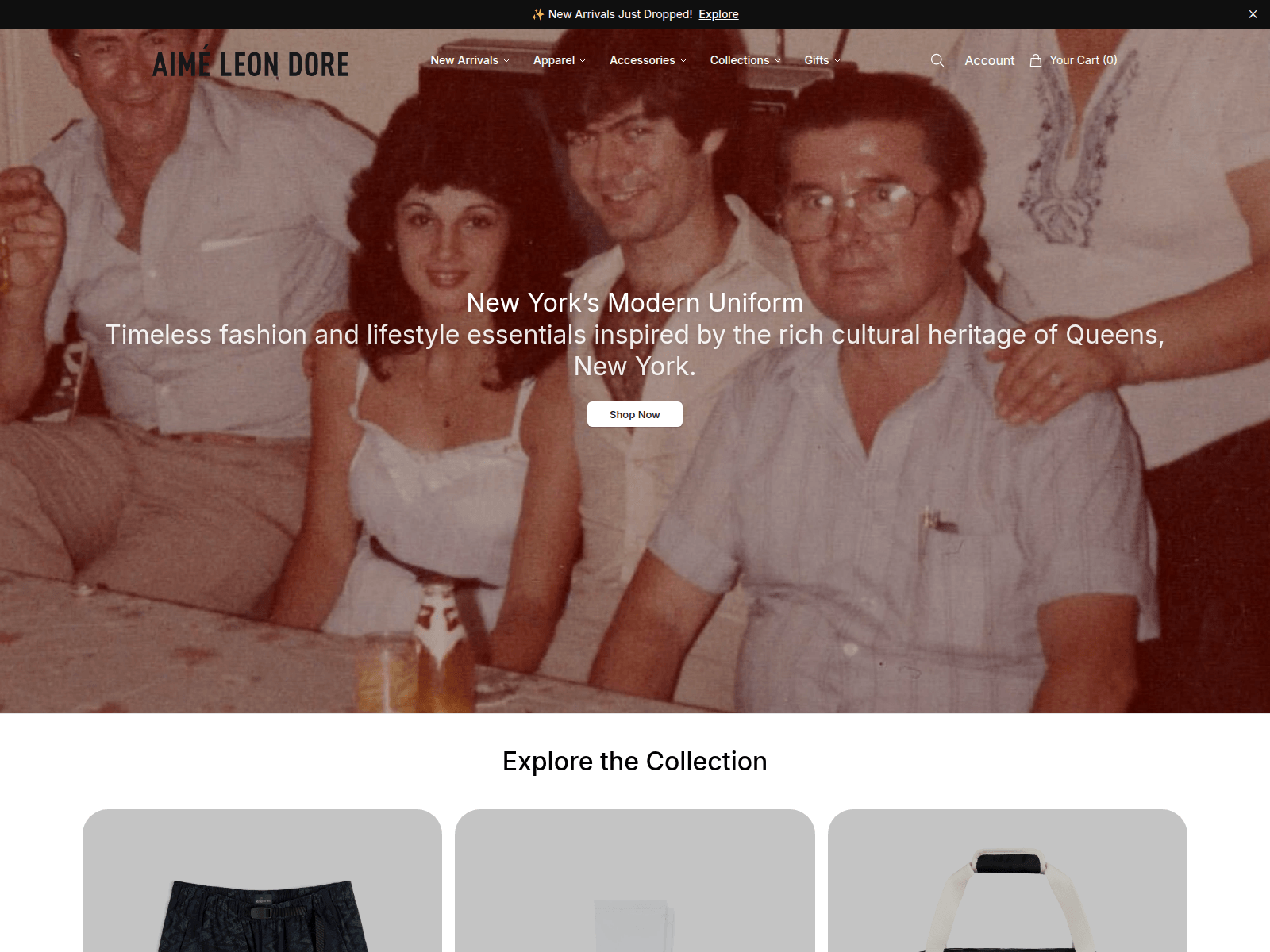Screenshot of aimeleondorestore.shop