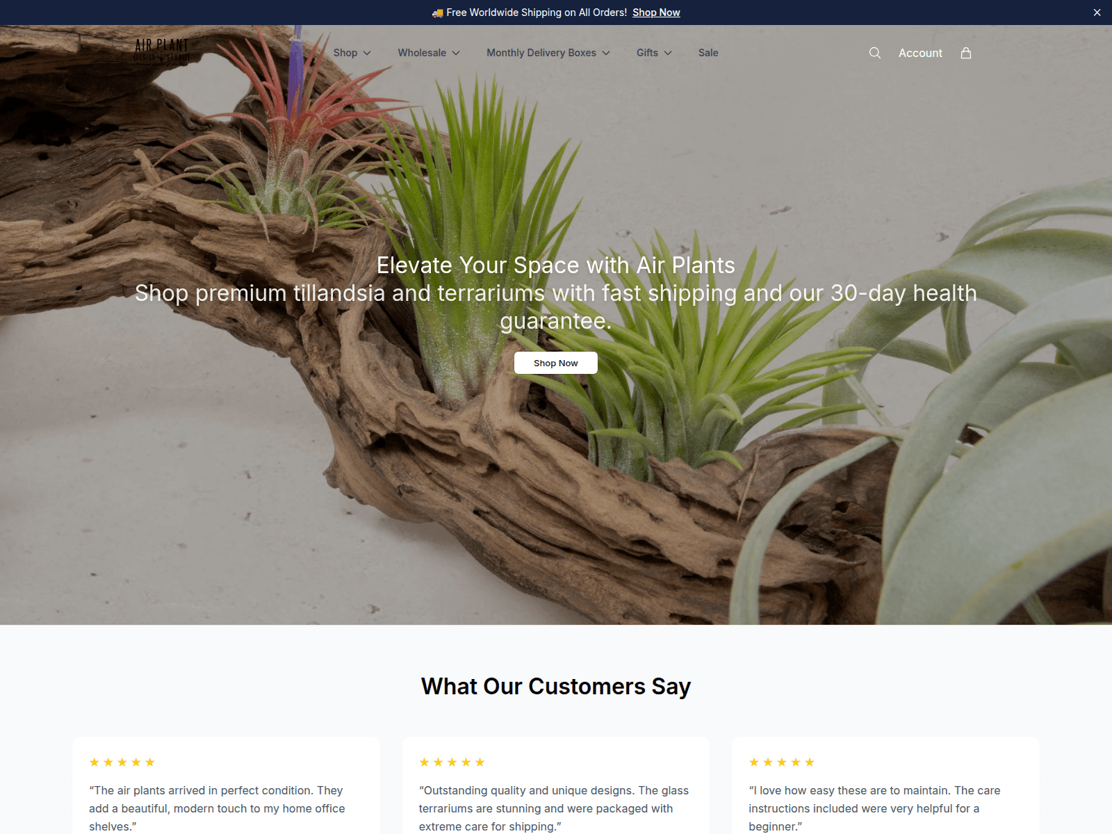 Screenshot of airplantsshop.shop