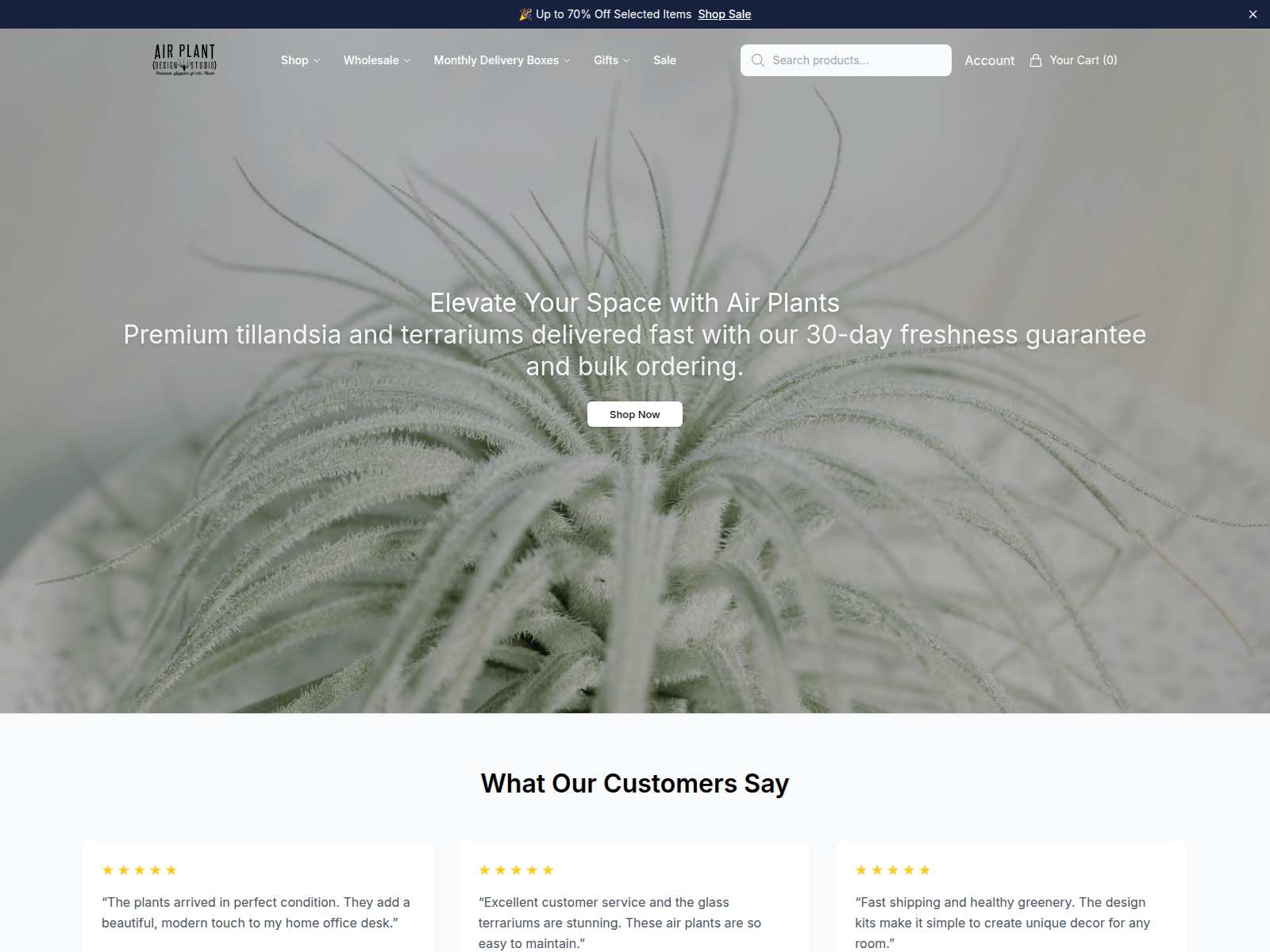 Screenshot of airplantsstore.shop