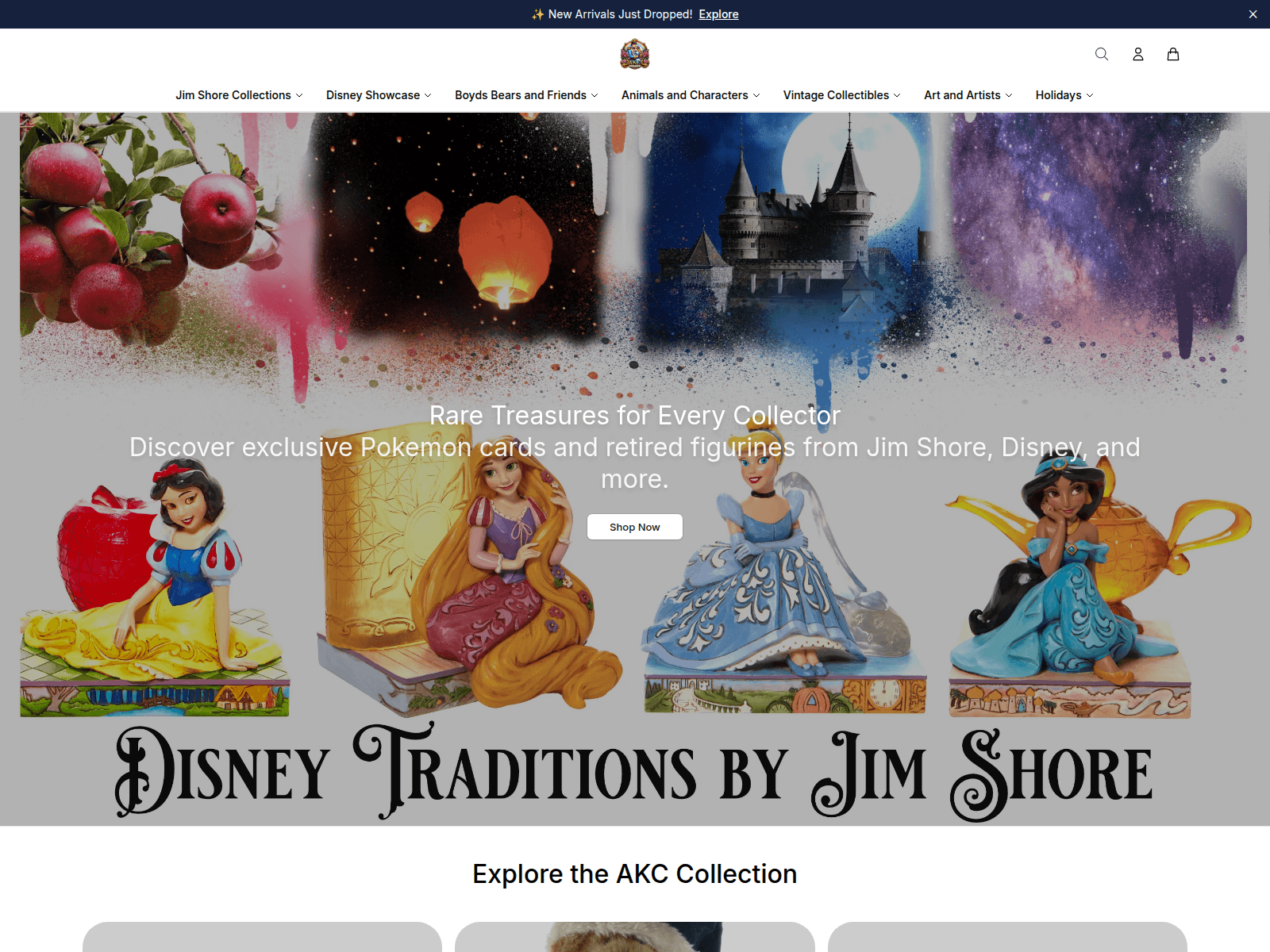 Captura de pantalla de akce.shop
