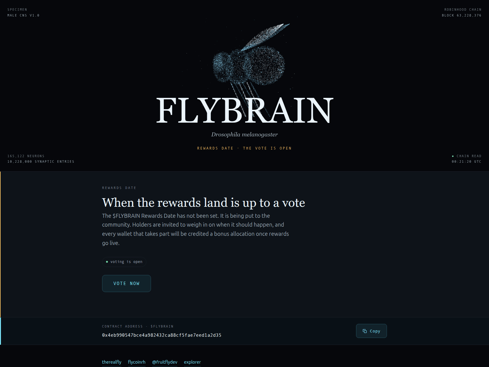 Screenshot of proposal-flybrain.site
