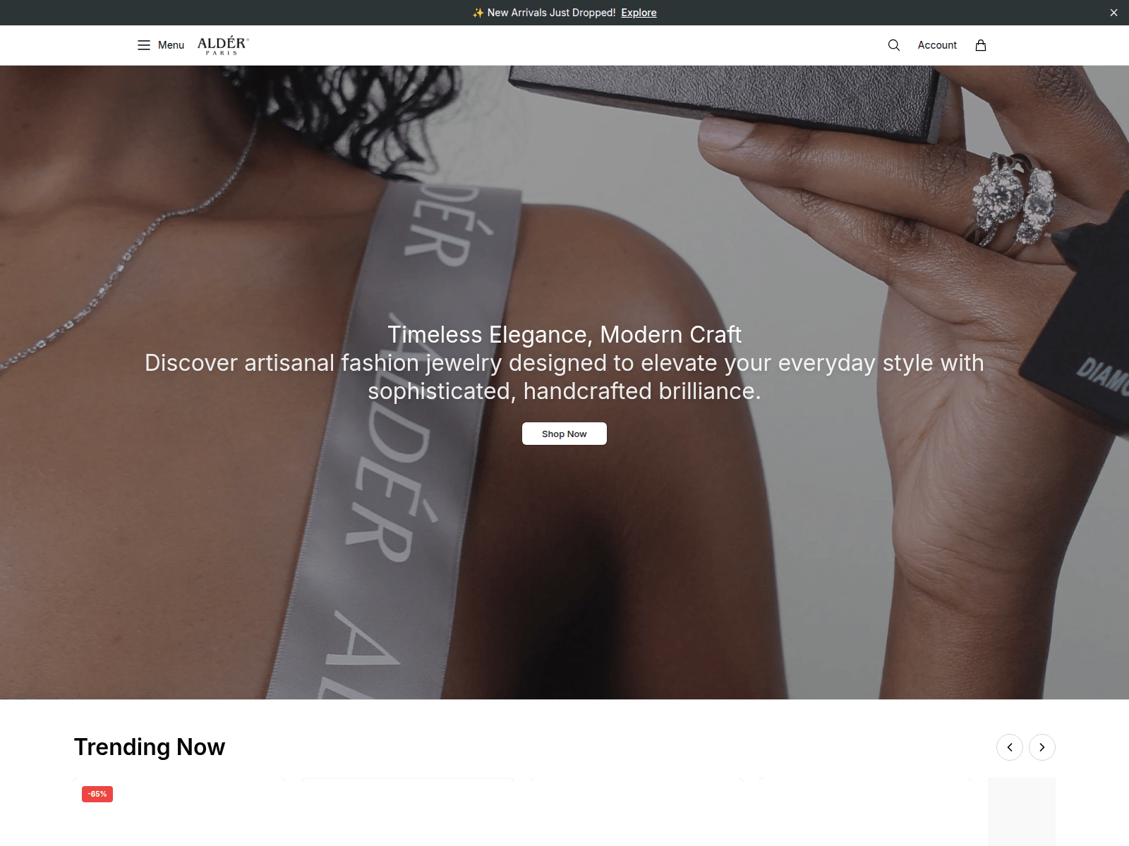 Screenshot of alderjewellersco.shop
