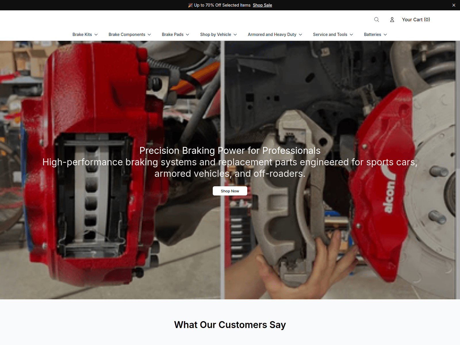 Screenshot of alconbrakekits.shop