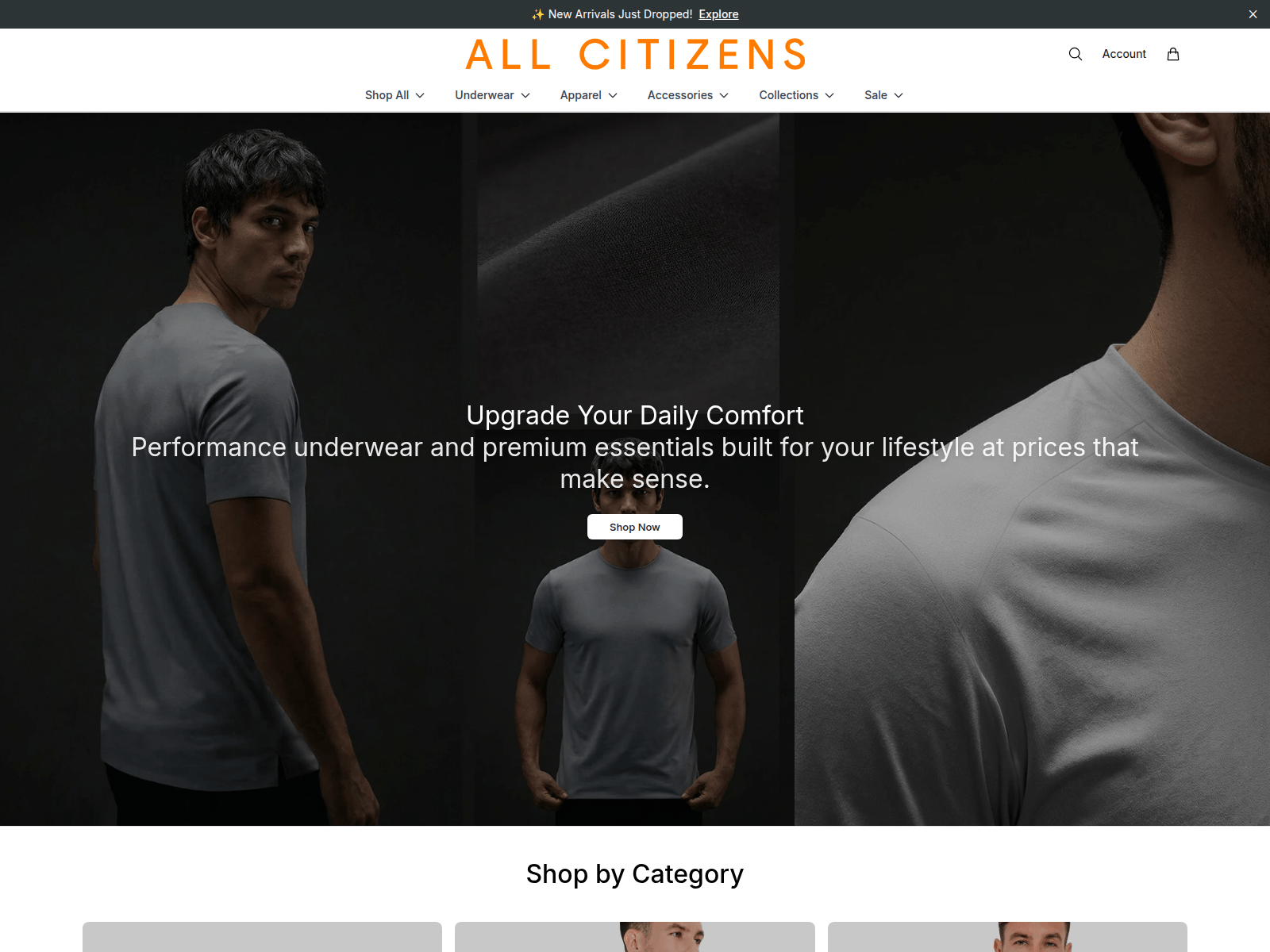 Captura de pantalla de allcitizensstyle.shop