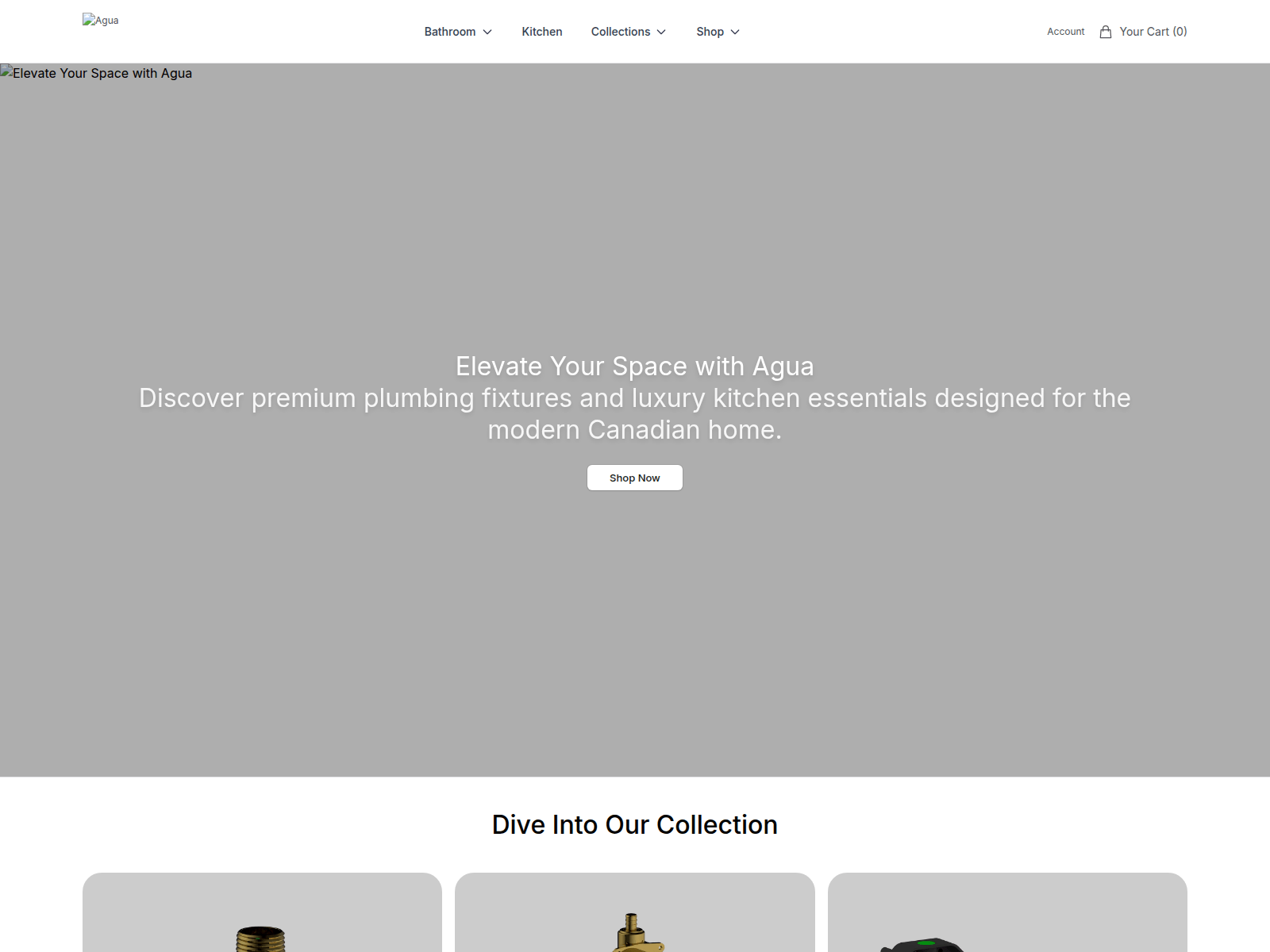Screenshot of aguacanadadesign.shop