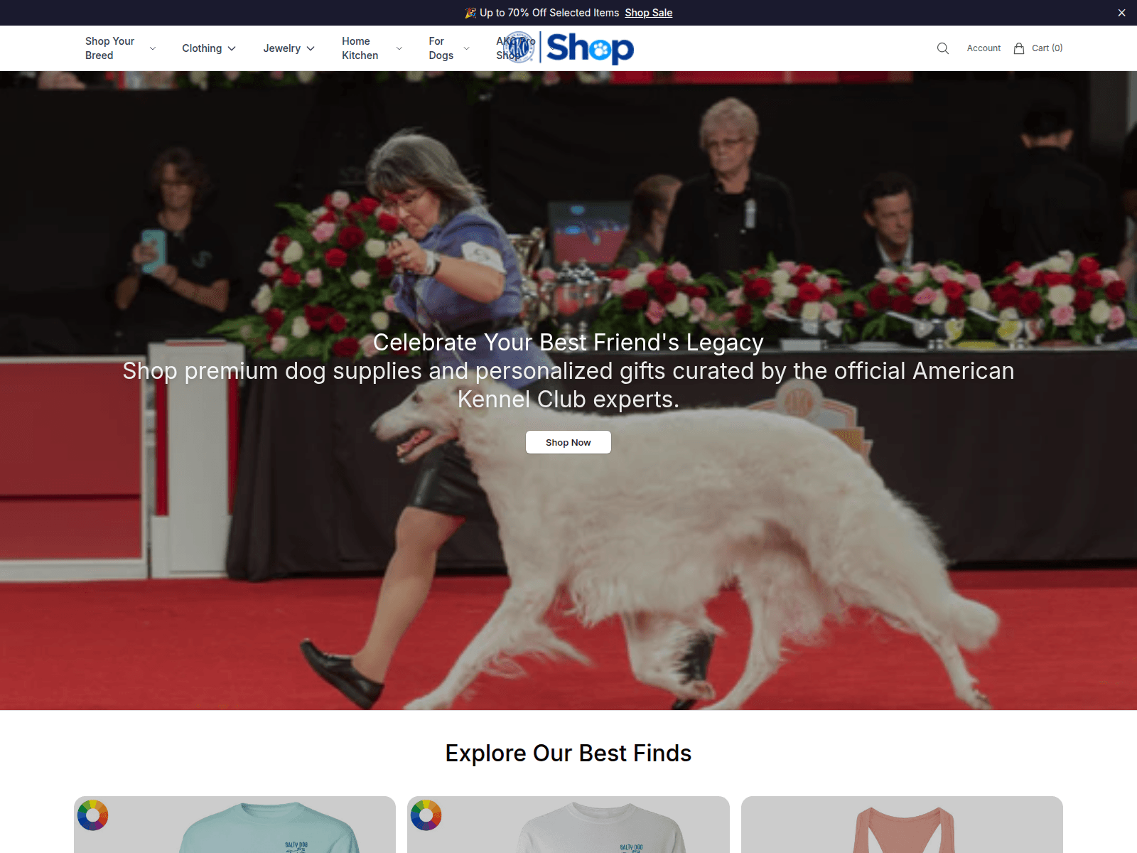 Screenshot of akconline.shop