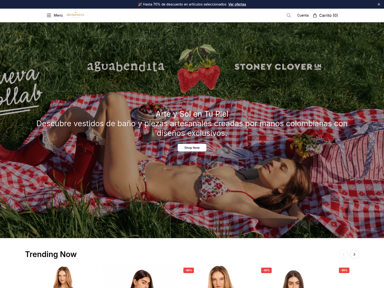 Screenshot of aguabenditaboutique.shop