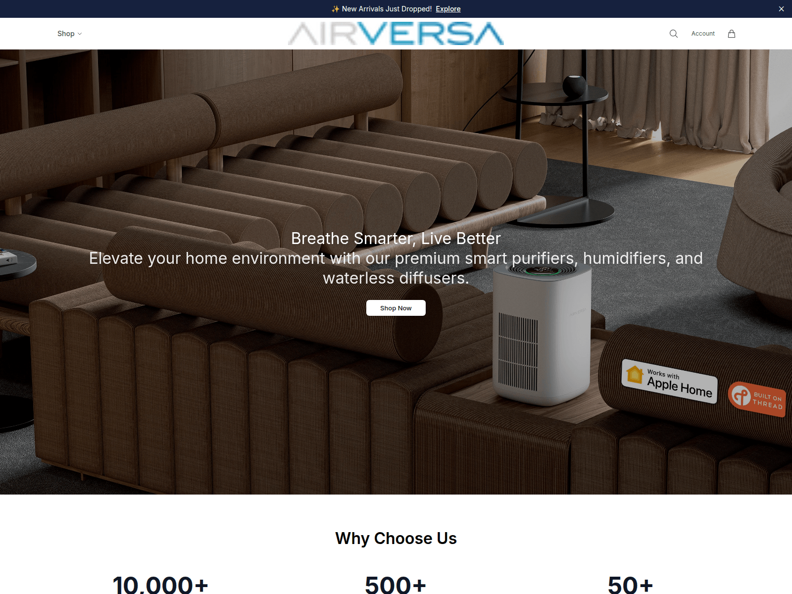 Screenshot of airversastudio.shop