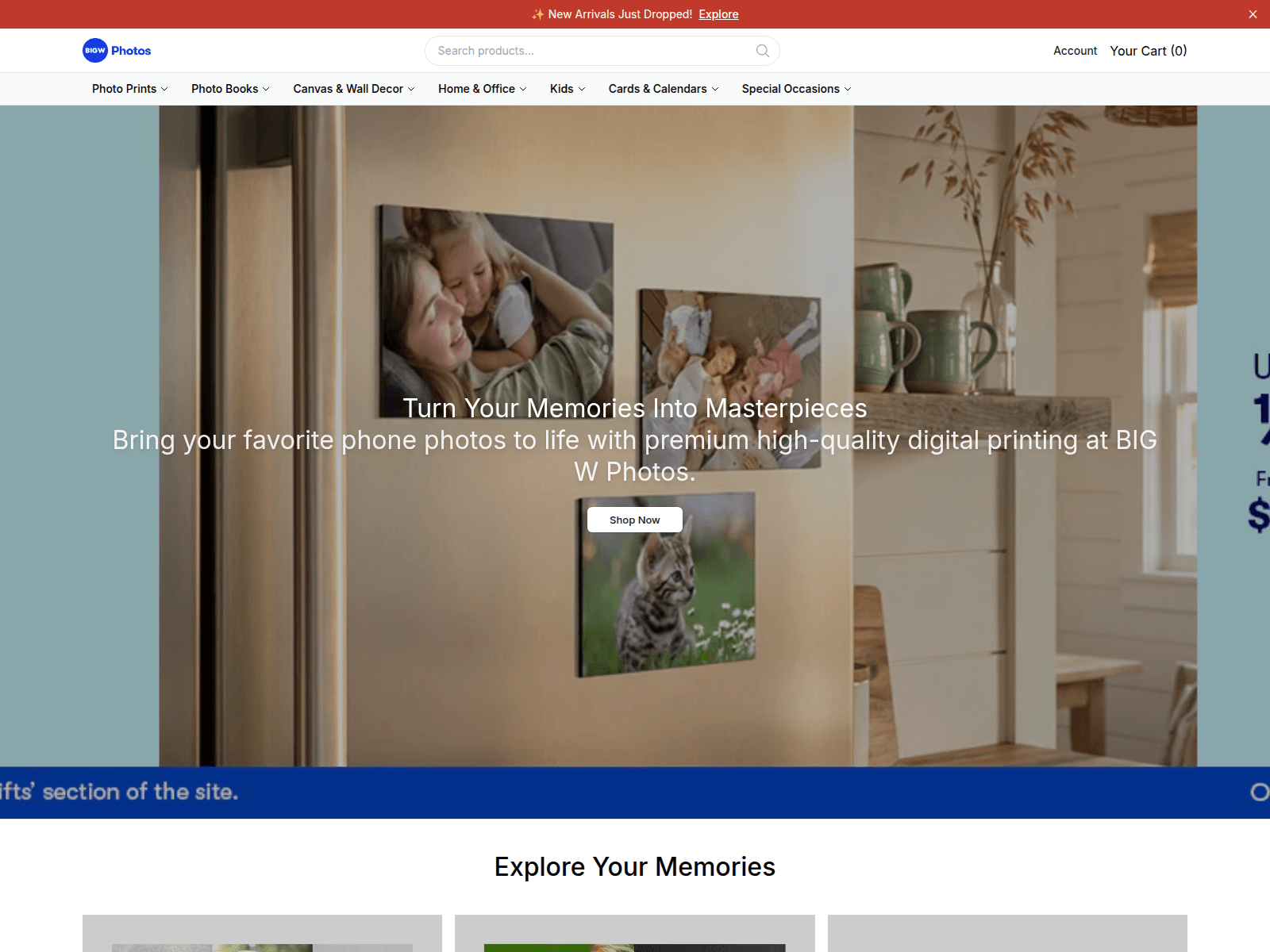 Screenshot of bigwphotosonline.shop