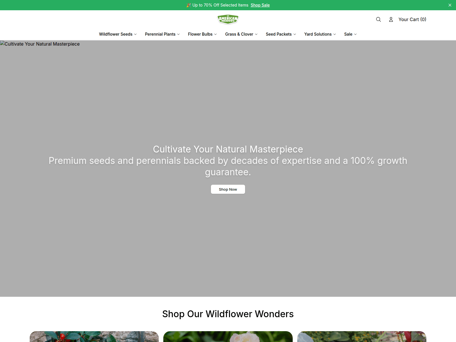 Captura de pantalla de amadows.shop