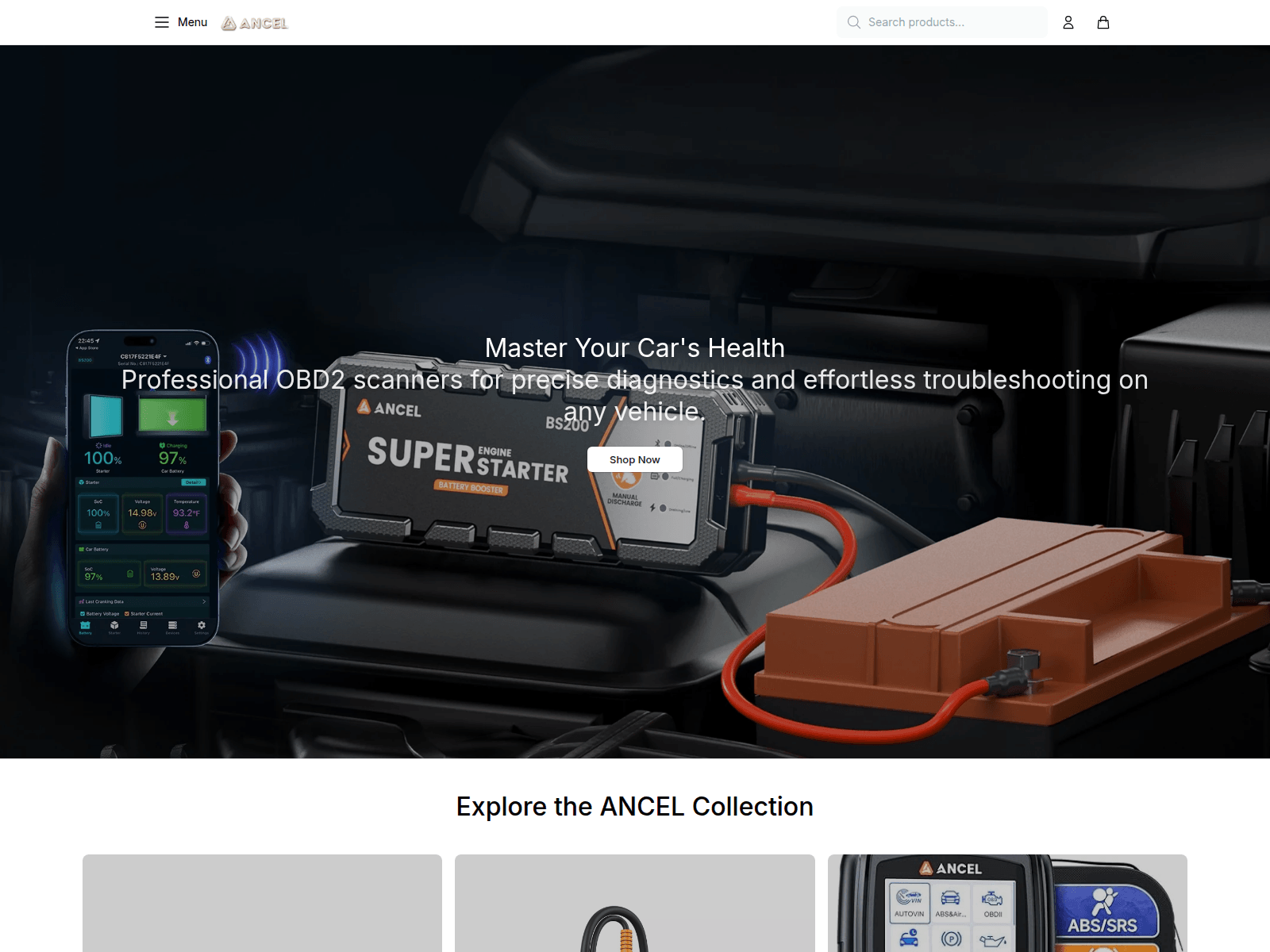 Stored URLScan capture preview