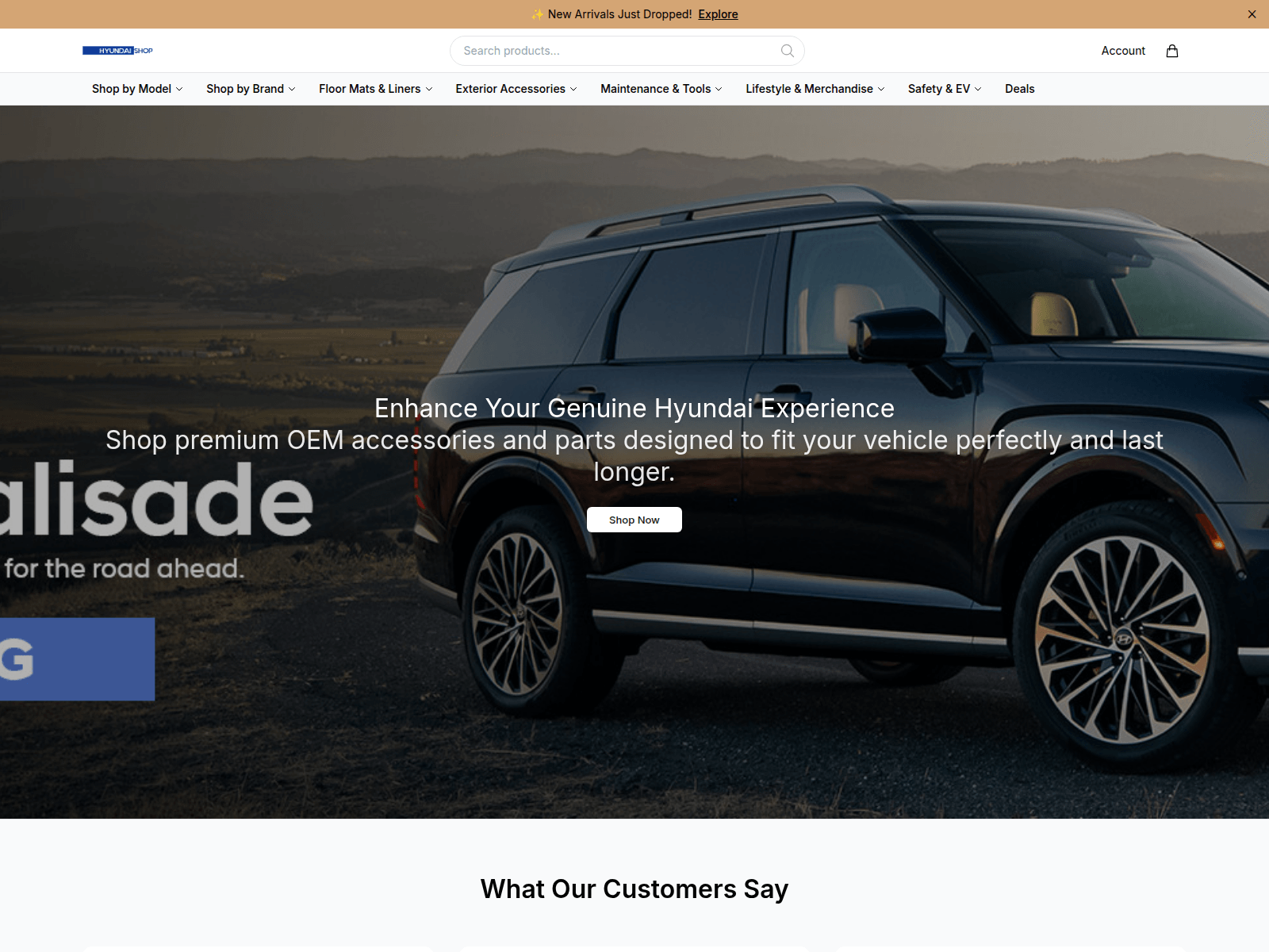 Screenshot of ashleystewartcloset.com