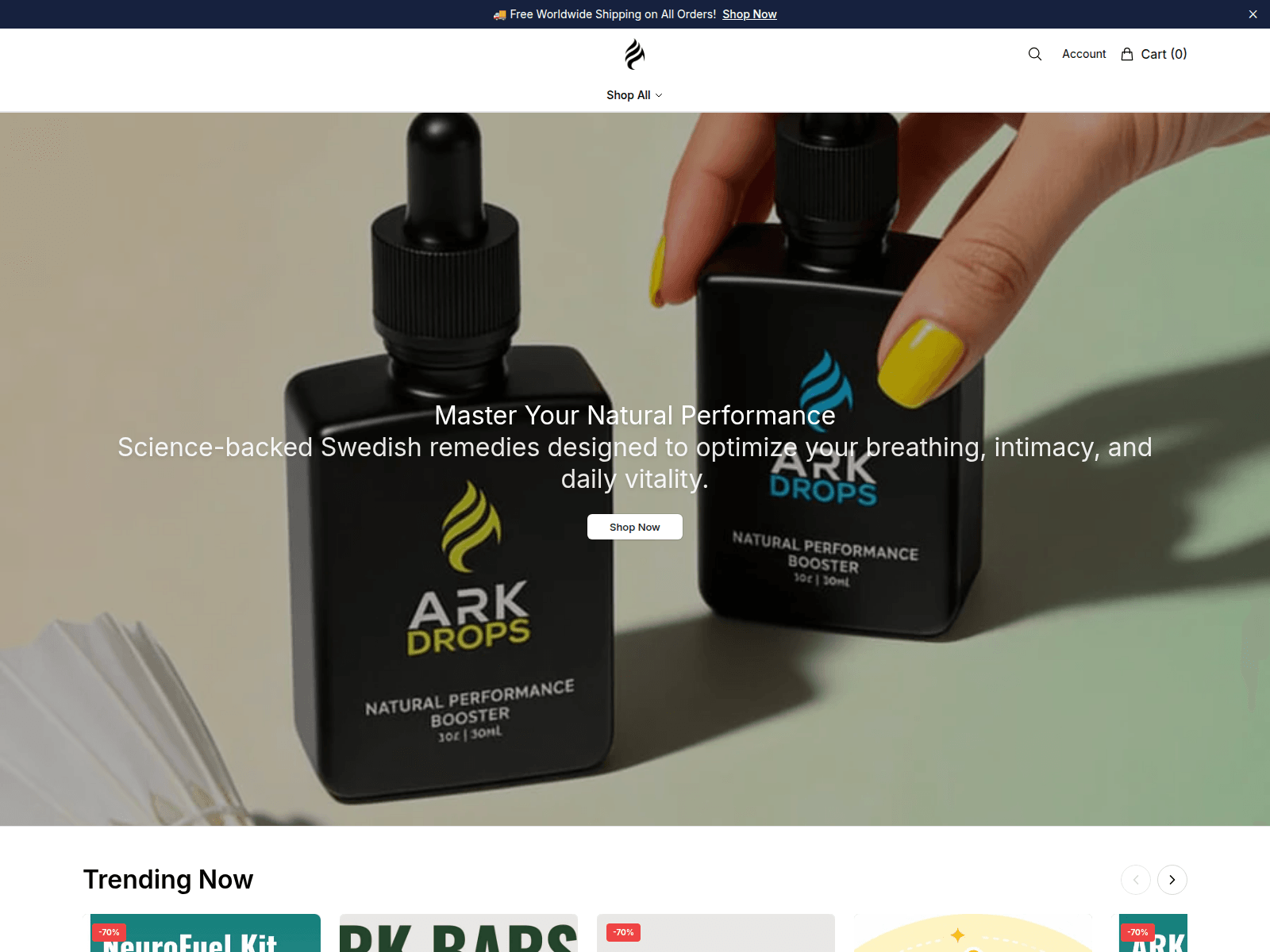 Captura de pantalla de arktic.shop