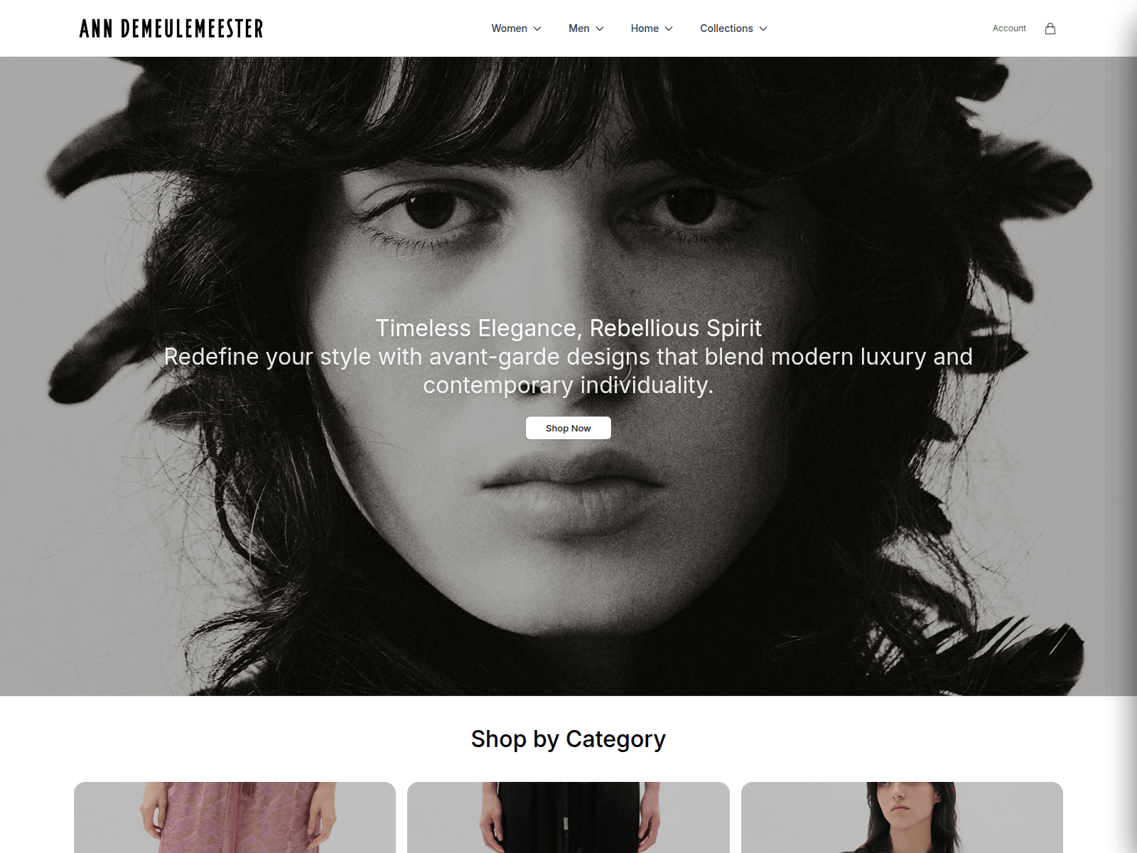 Captura de pantalla de anndemeulemeesteronline.shop