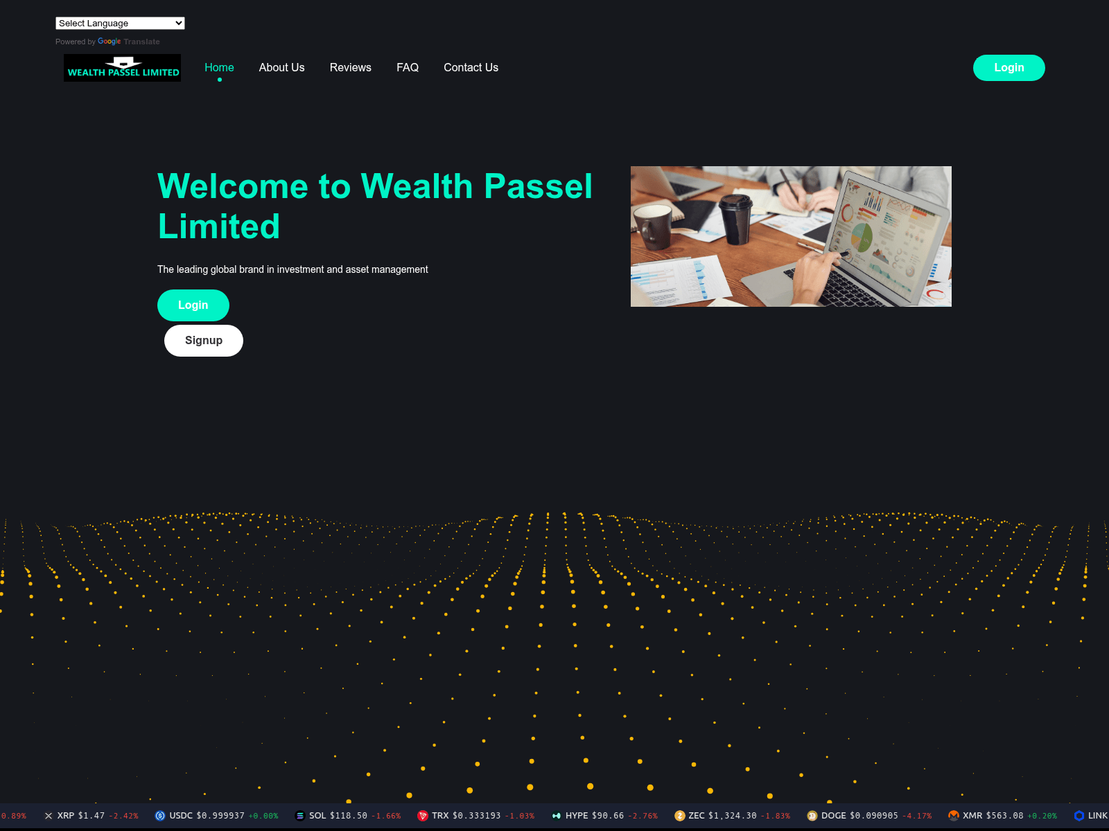 [Ekran görüntüsü] wealthpasselltd.cc