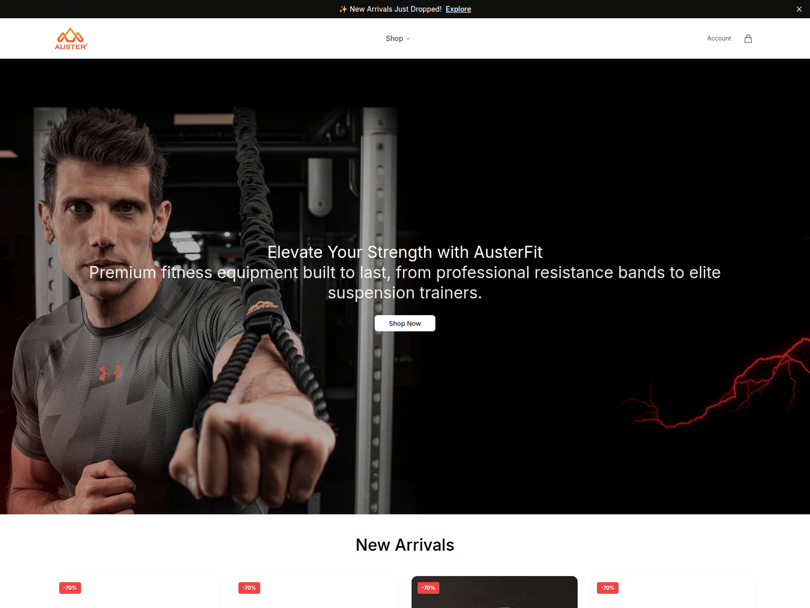 [Ekran görüntüsü] austerfitgear.shop