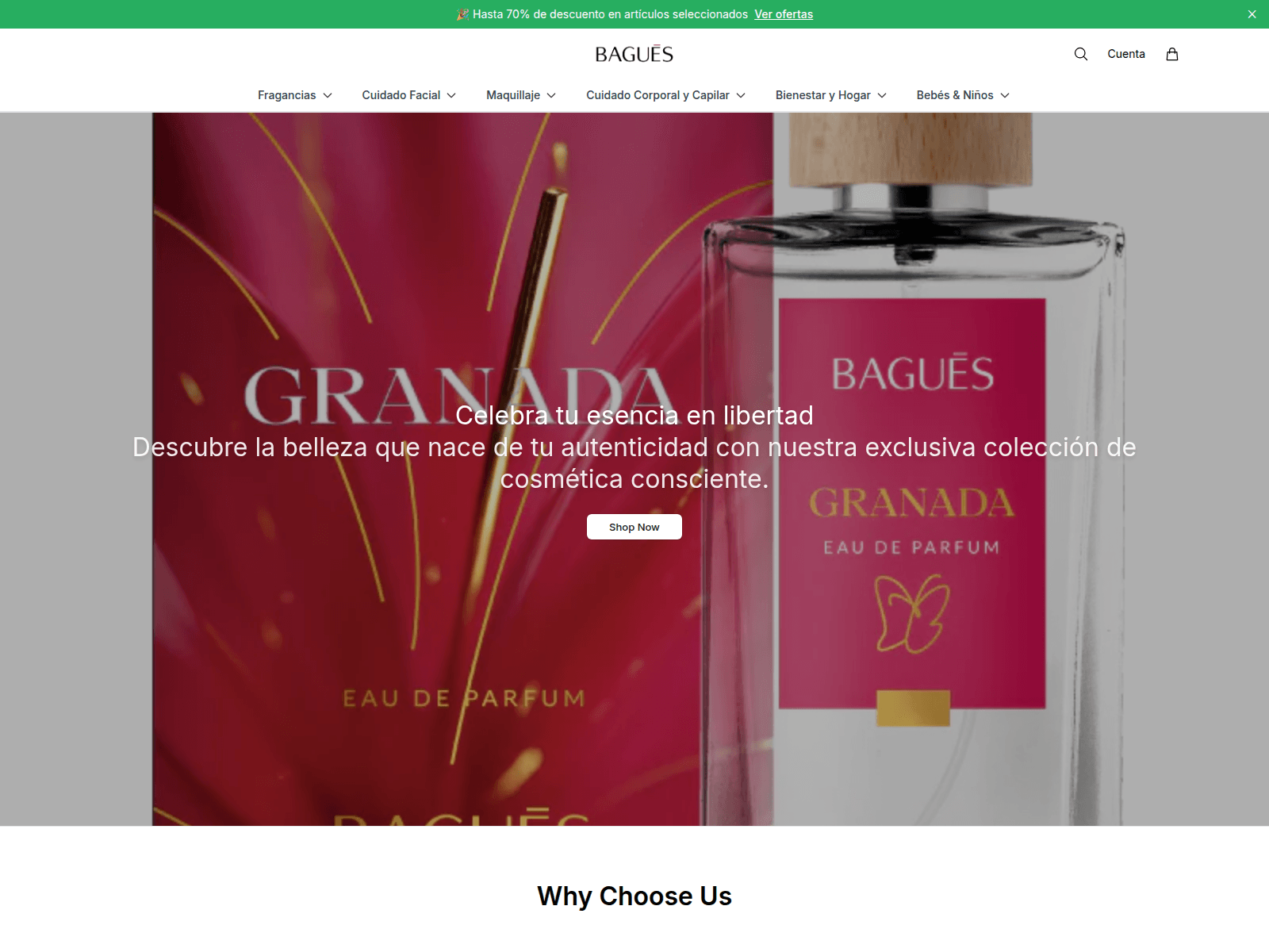 Captura de pantalla de bagueshq.shop