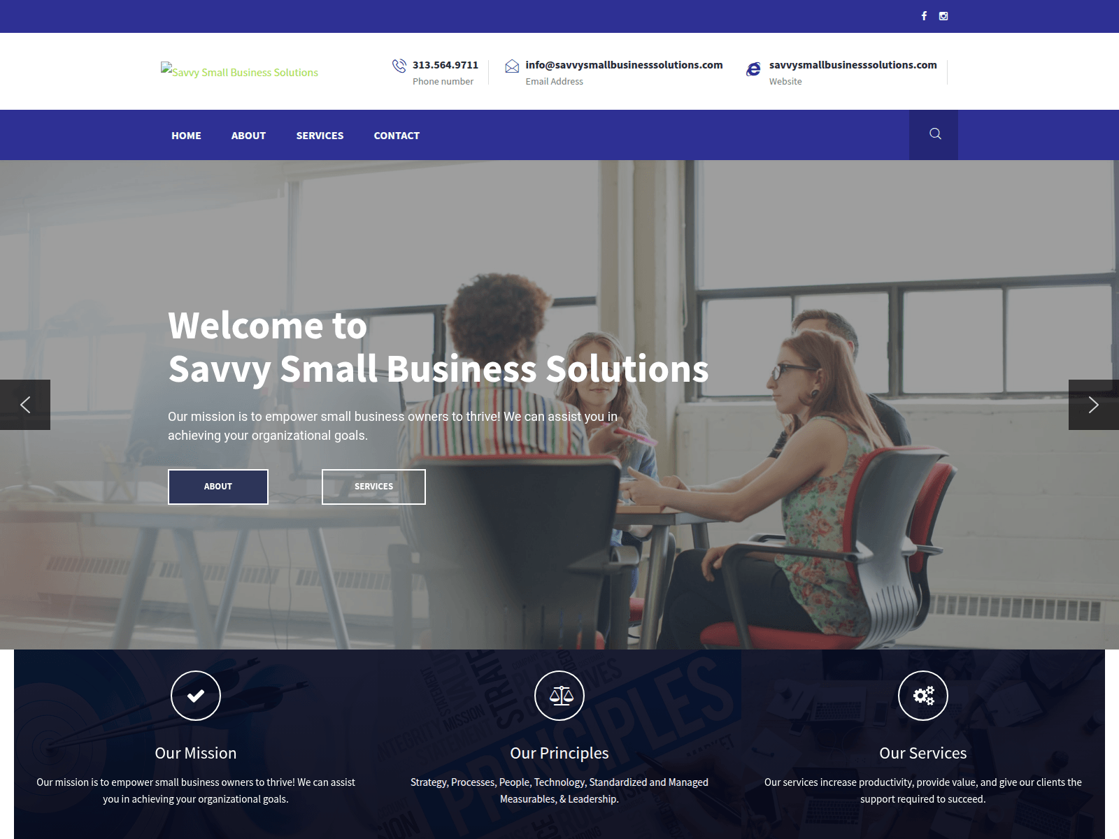 Screenshot of savvysmallbusinesssolutions.com