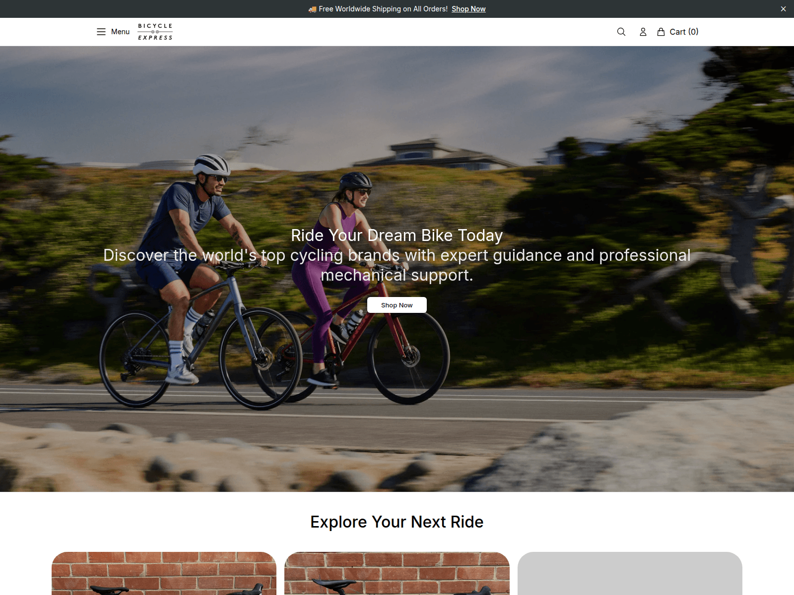 Screenshot of bicycleexpresshub.shop