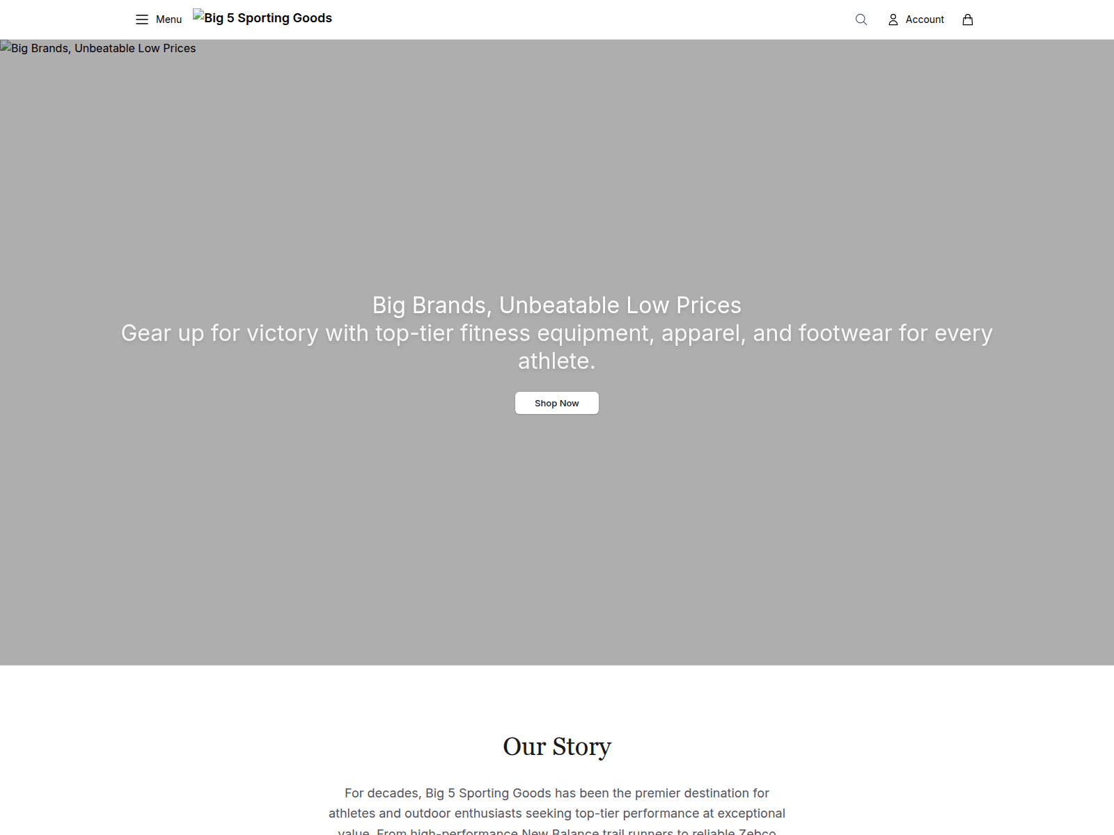 Screenshot von big5sportlife.com