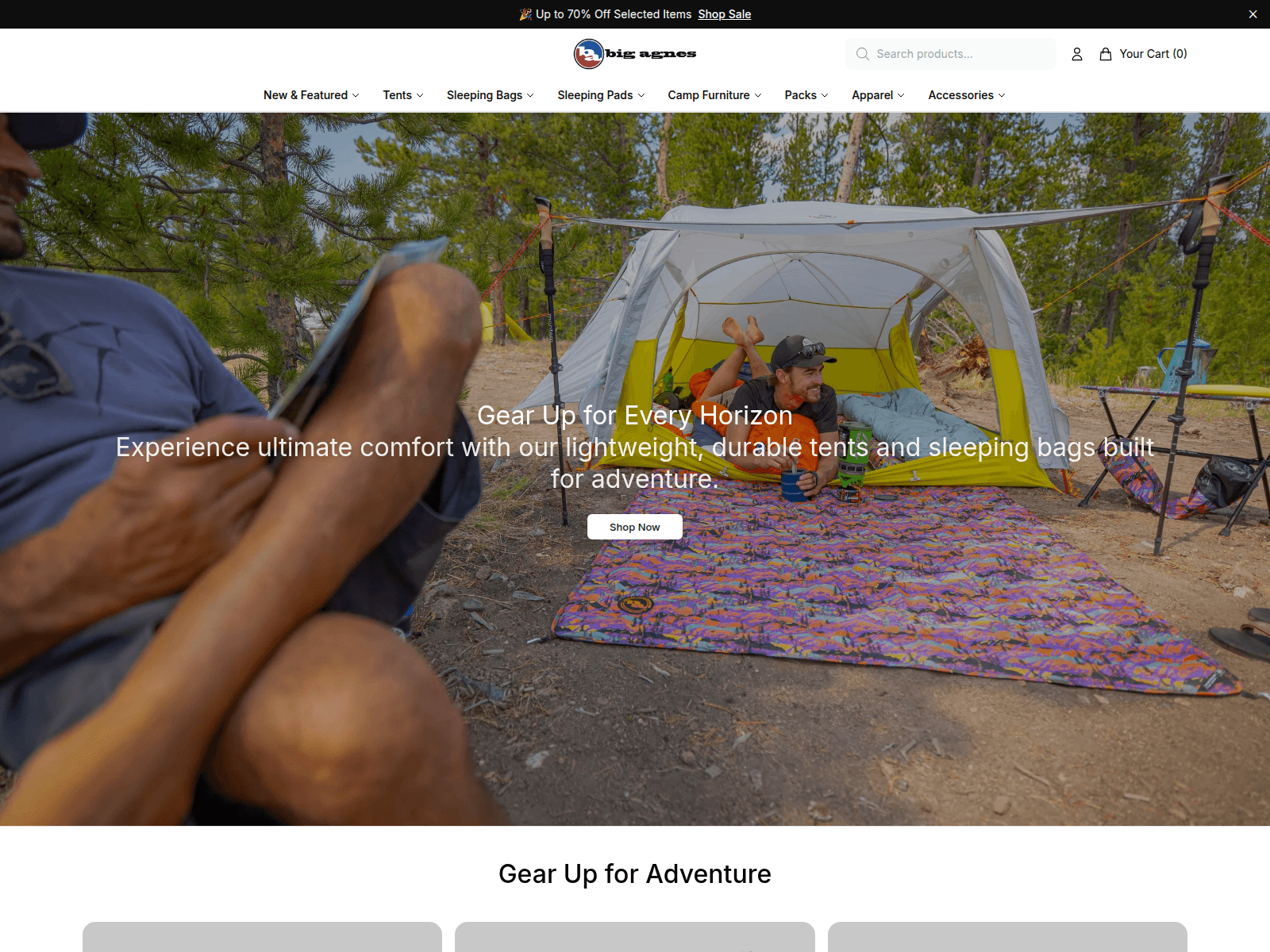 Screenshot of bigagnesdirect.shop