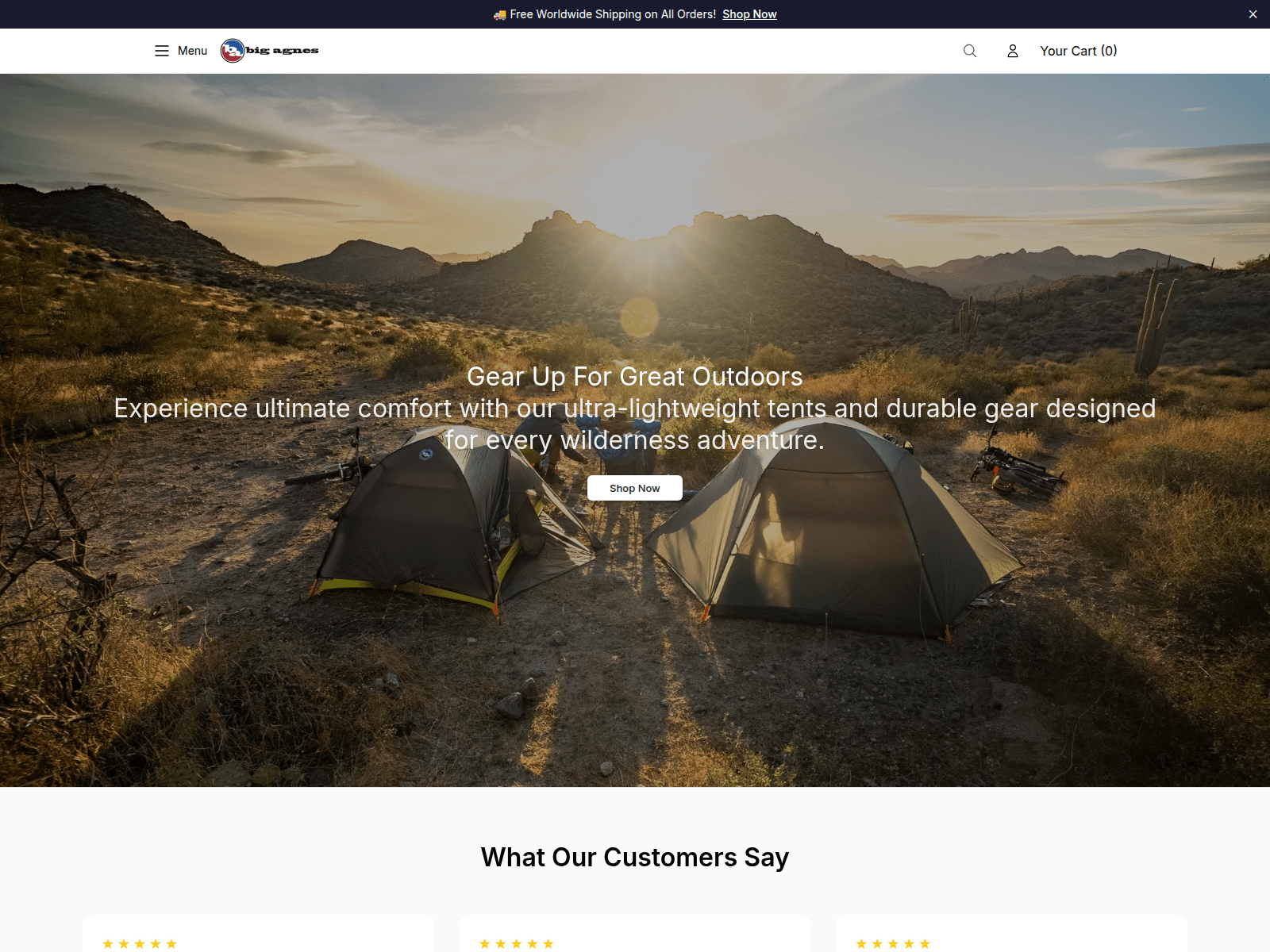 Screenshot of bigagnesgear.shop