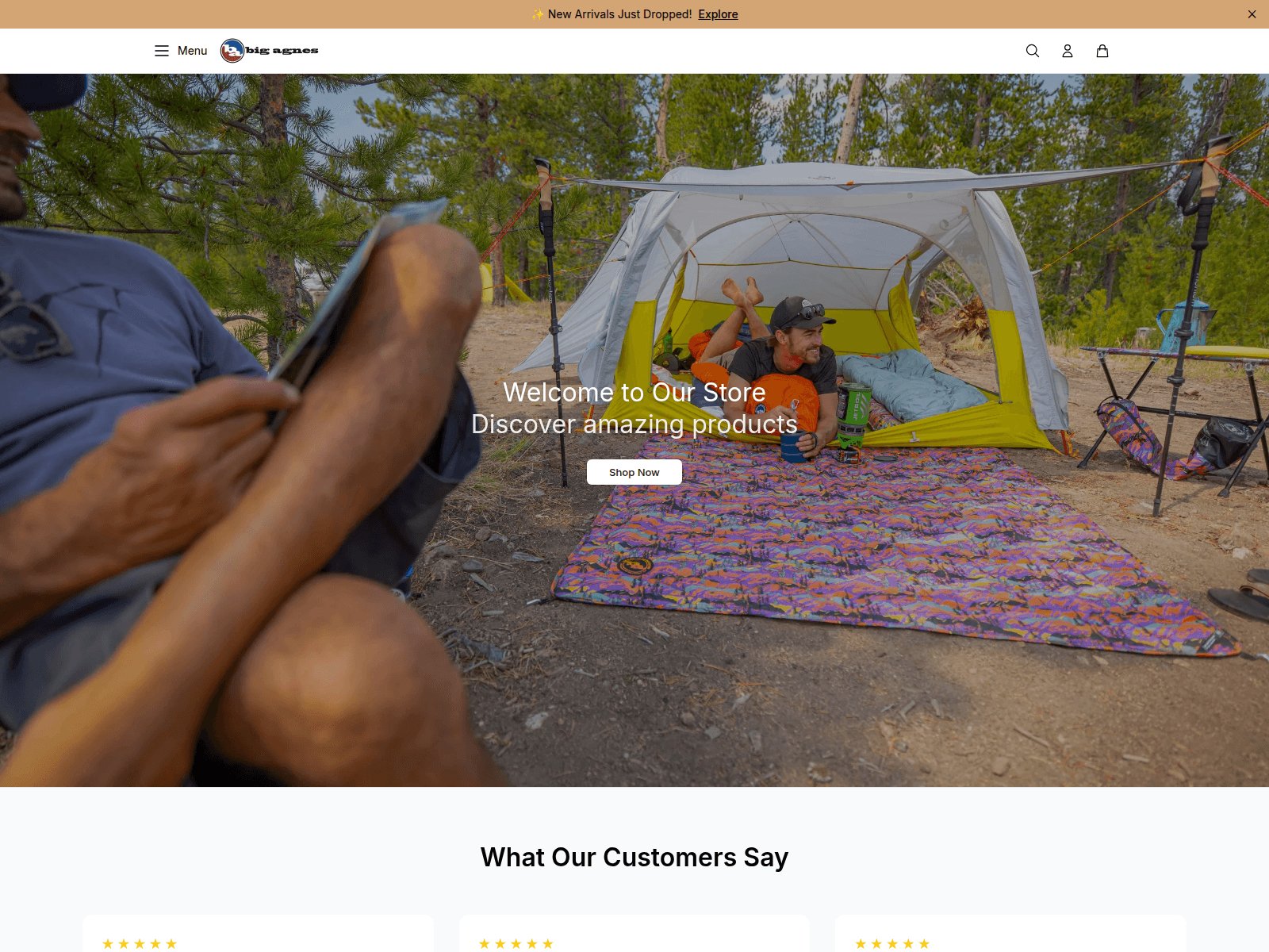 Screenshot of bigagnesonline.shop
