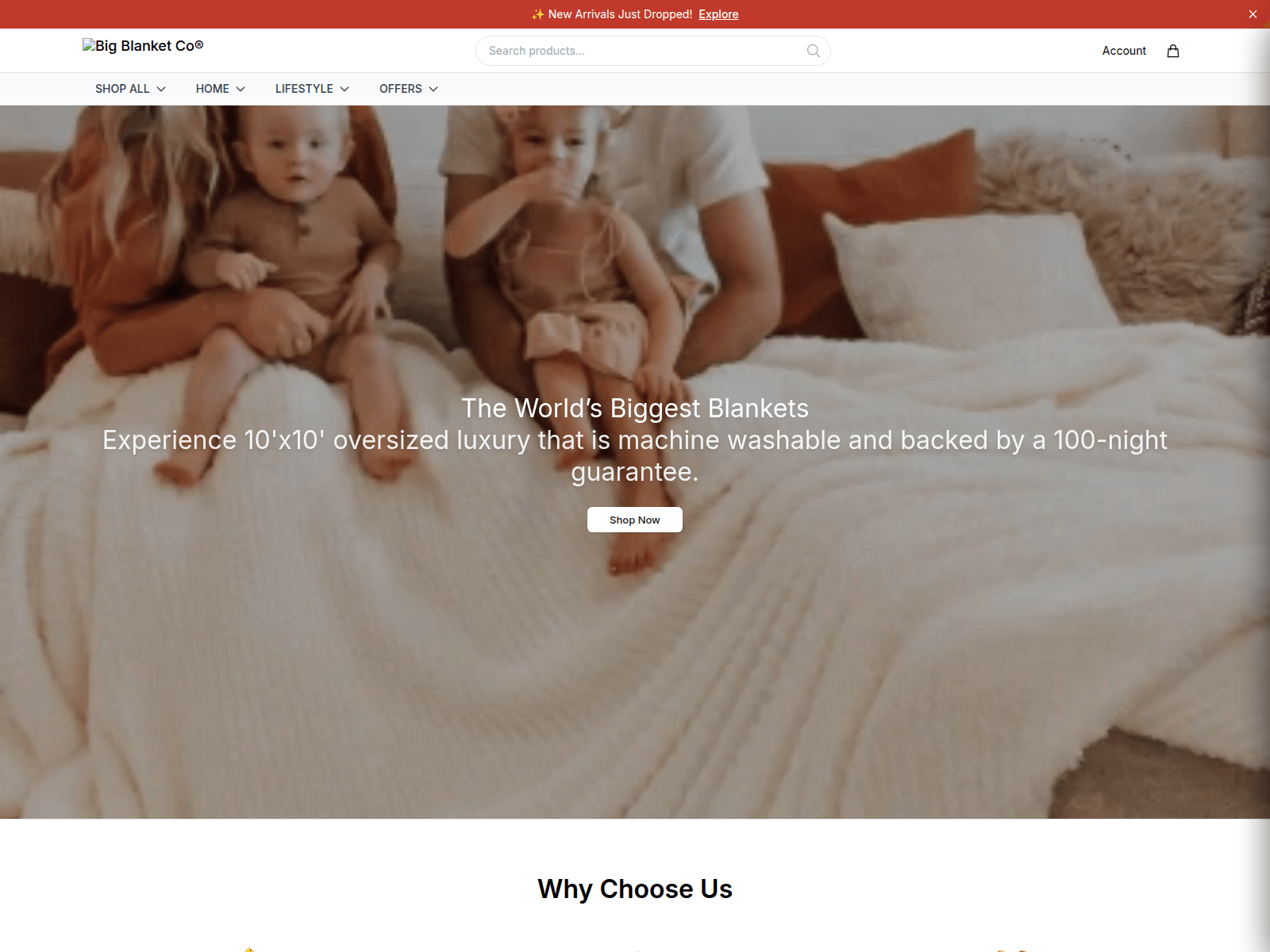Screenshot of bigblanketcoshop.shop