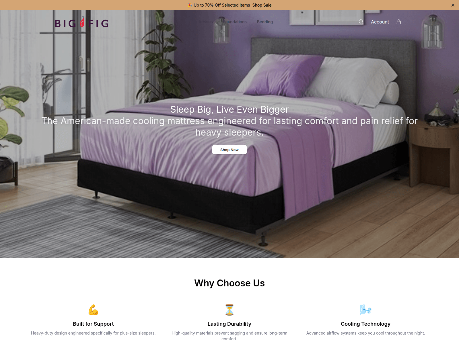 Screenshot of bigfig.shop