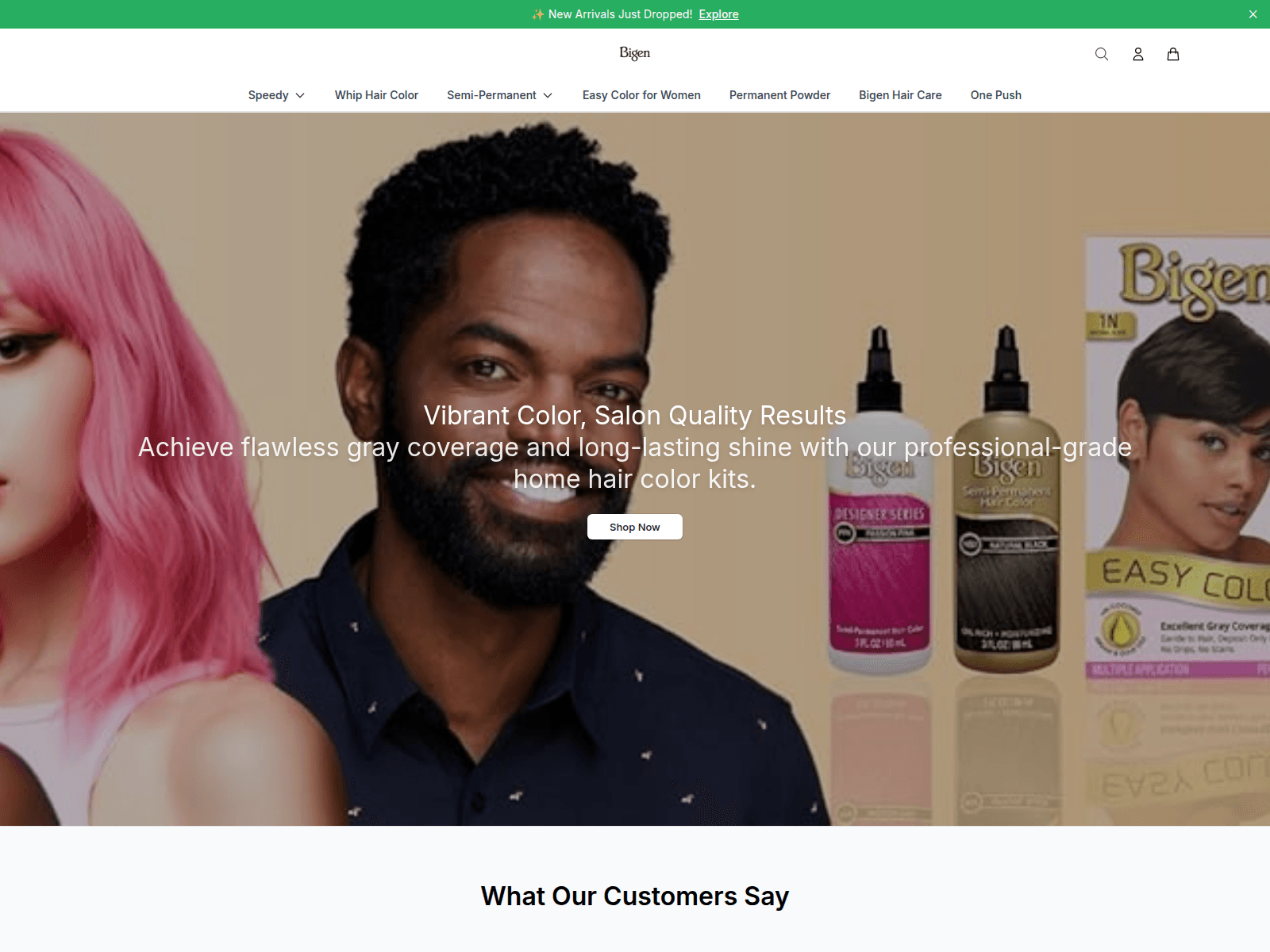 Screenshot of bigenonline.shop