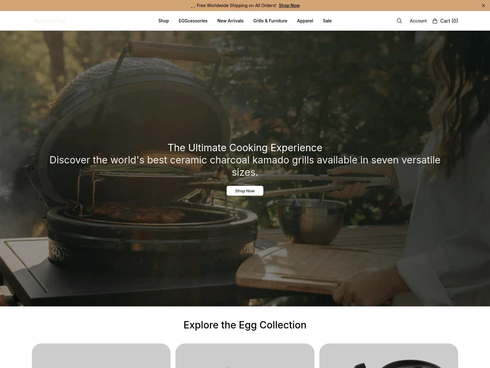 Screenshot of biggreeneggstyle.shop