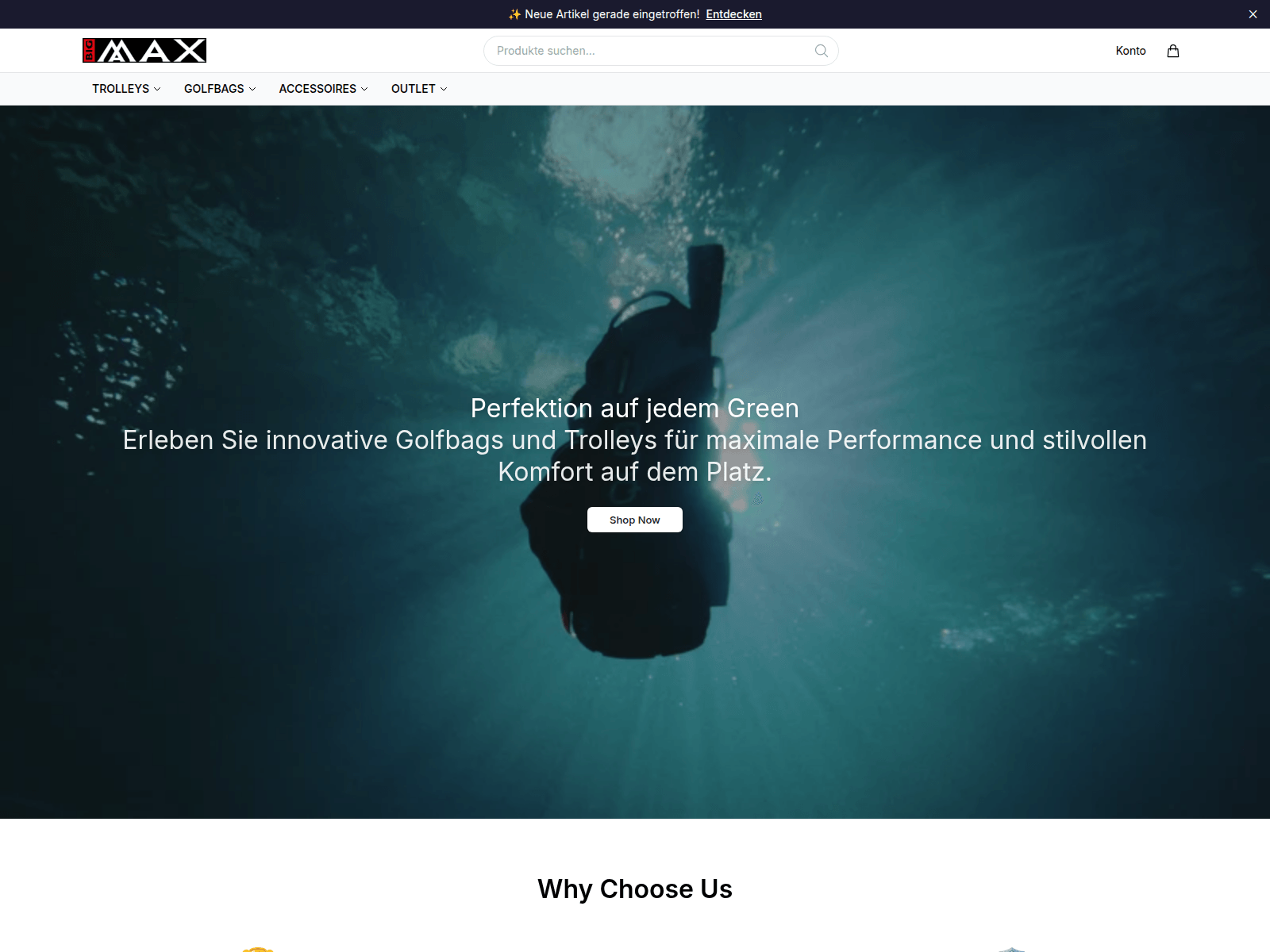 Screenshot of bigmaxgolfpro.shop