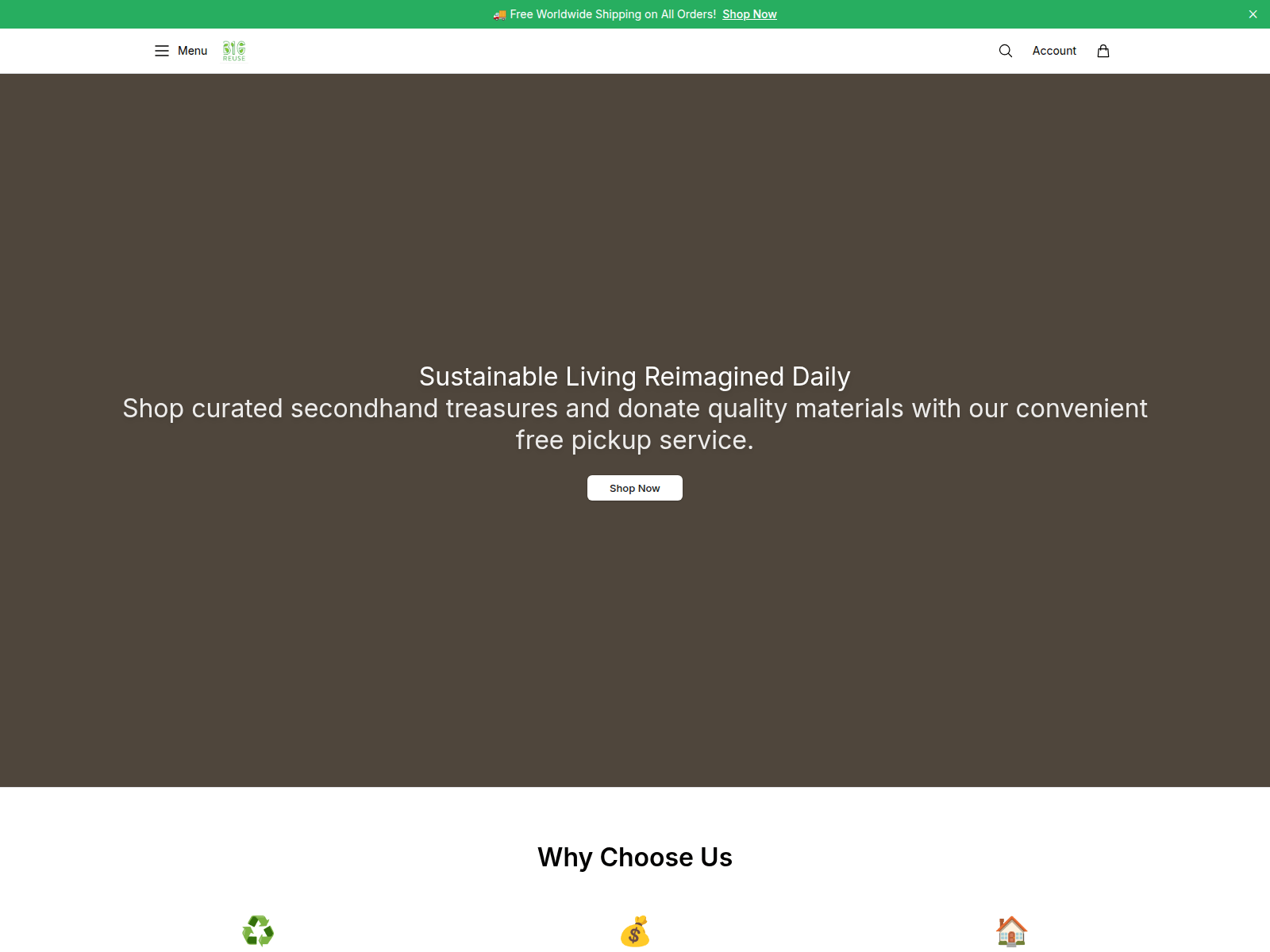 Screenshot of bigreusestore.shop
