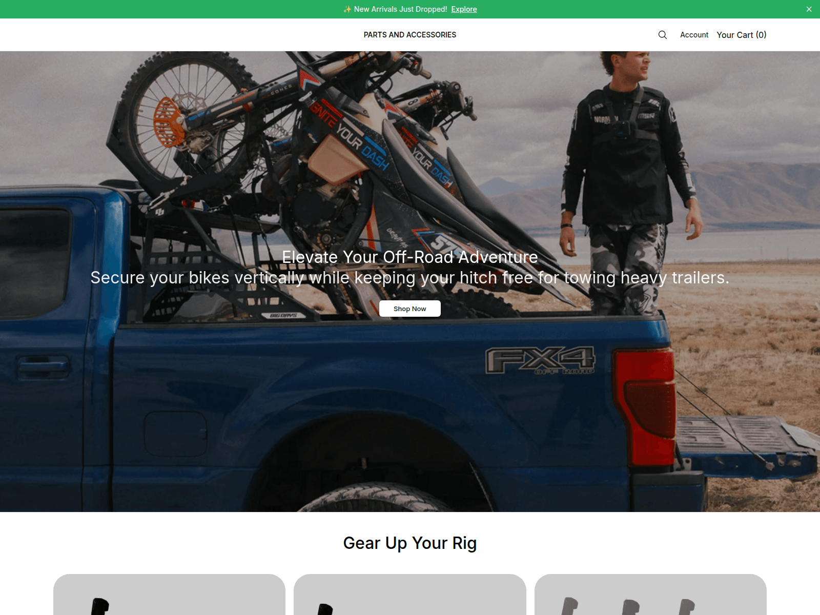 Screenshot of bigrigs.shop