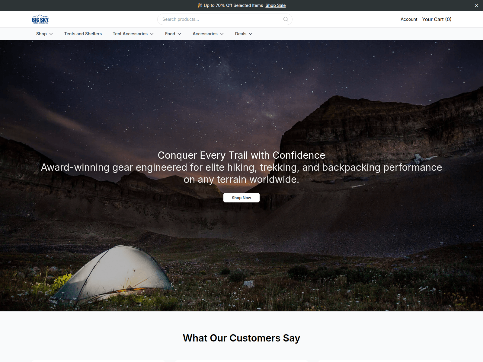 Screenshot of bigskyinternationalshop.shop